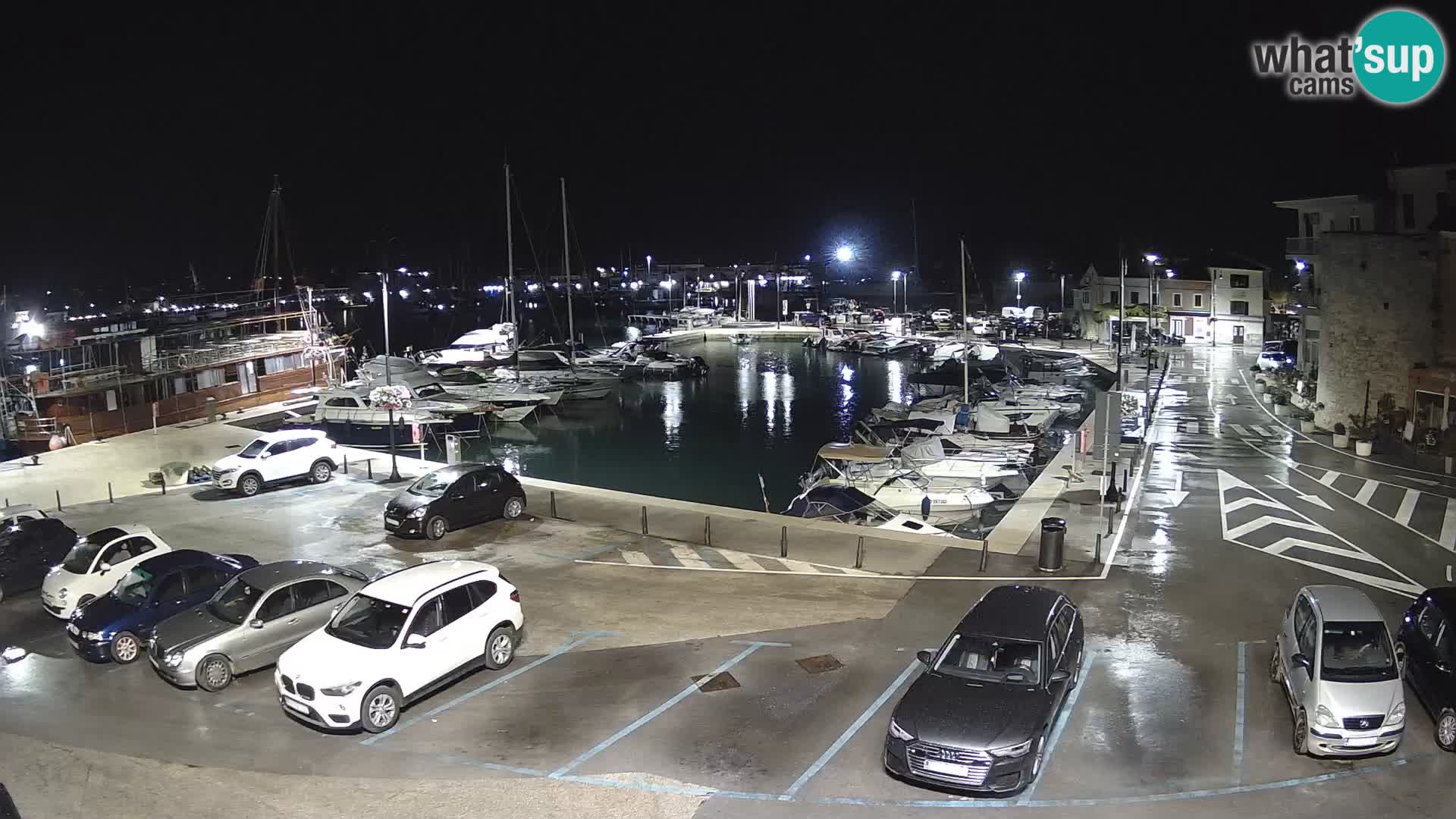 Novigrad | Porporela marina