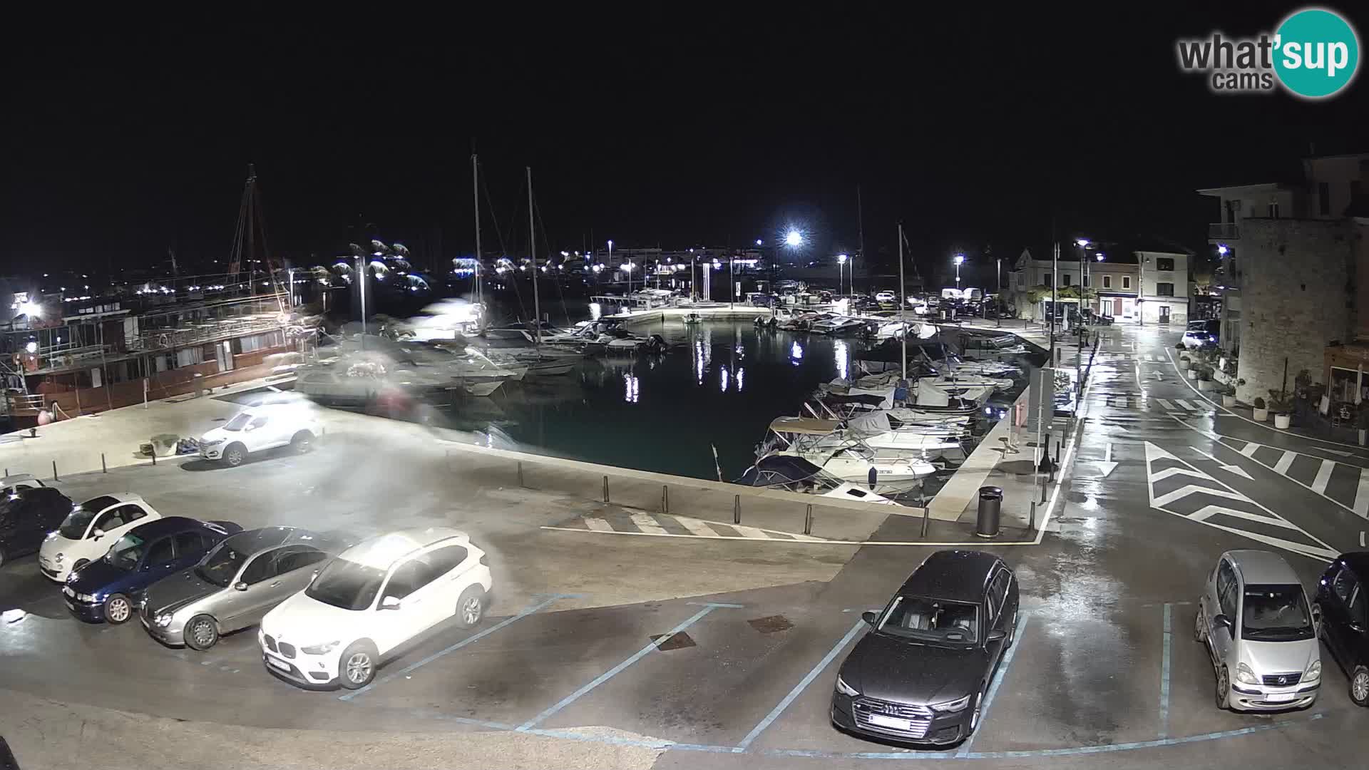 Novigrad | Porporela marina