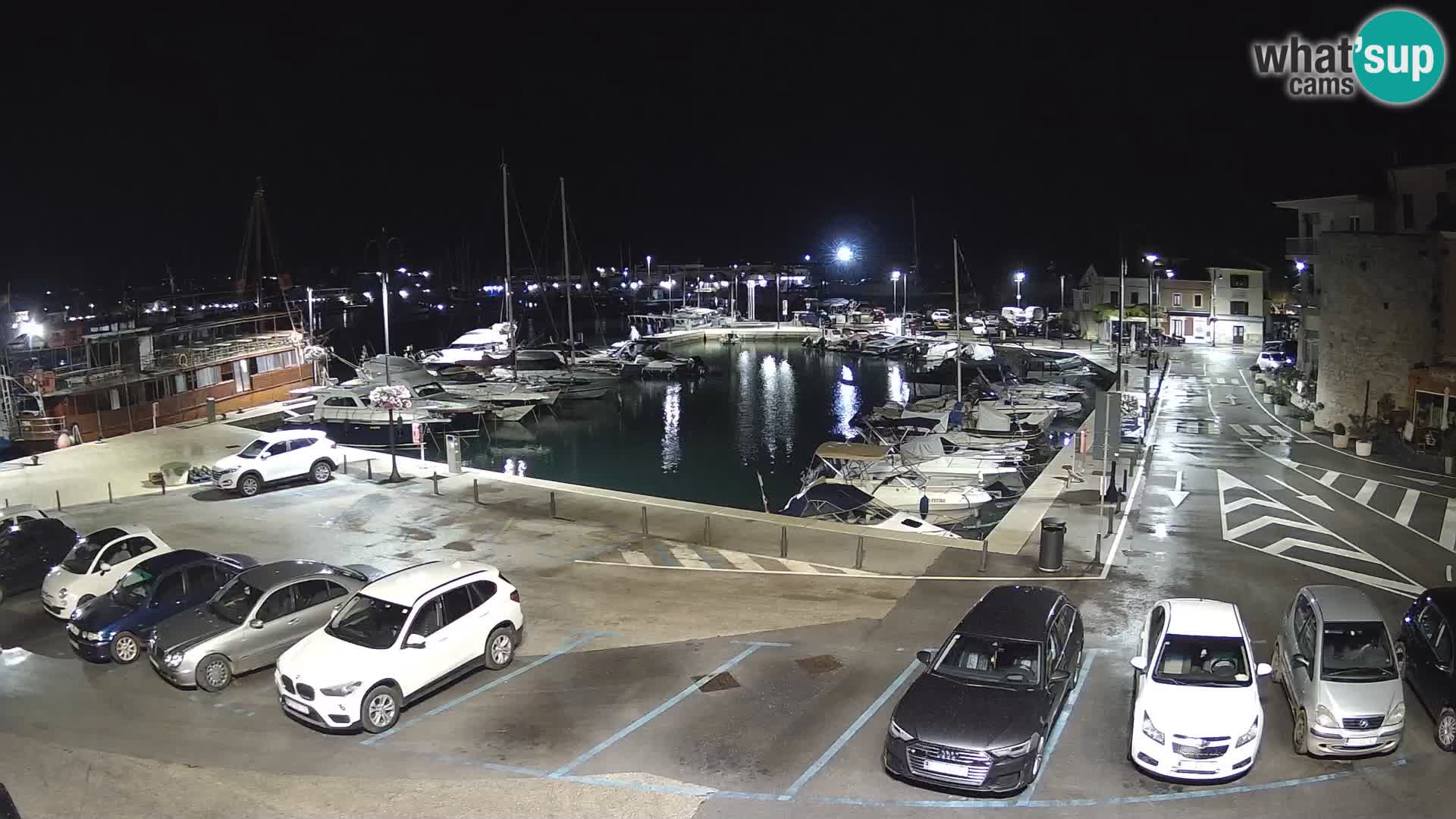 Novigrad | Porporela marina