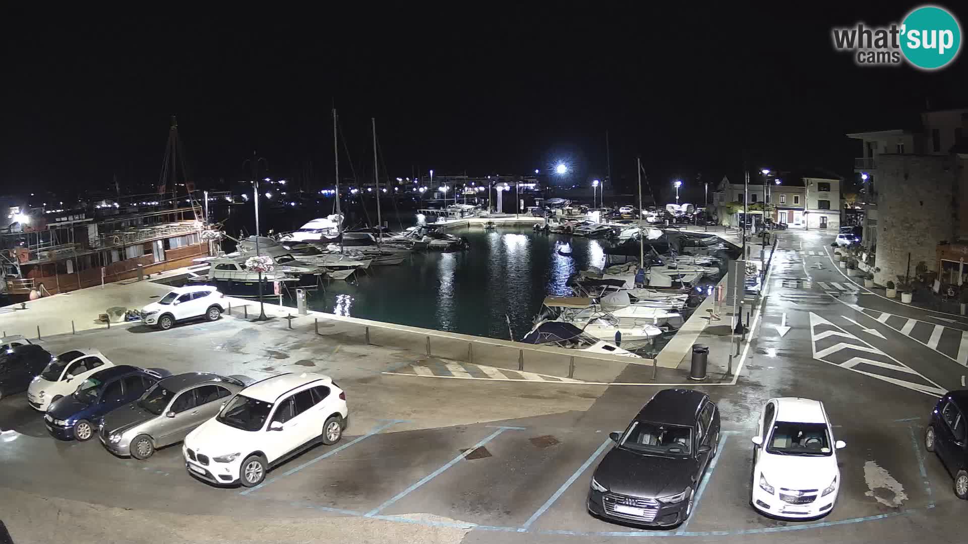Novigrad | Porporela marina