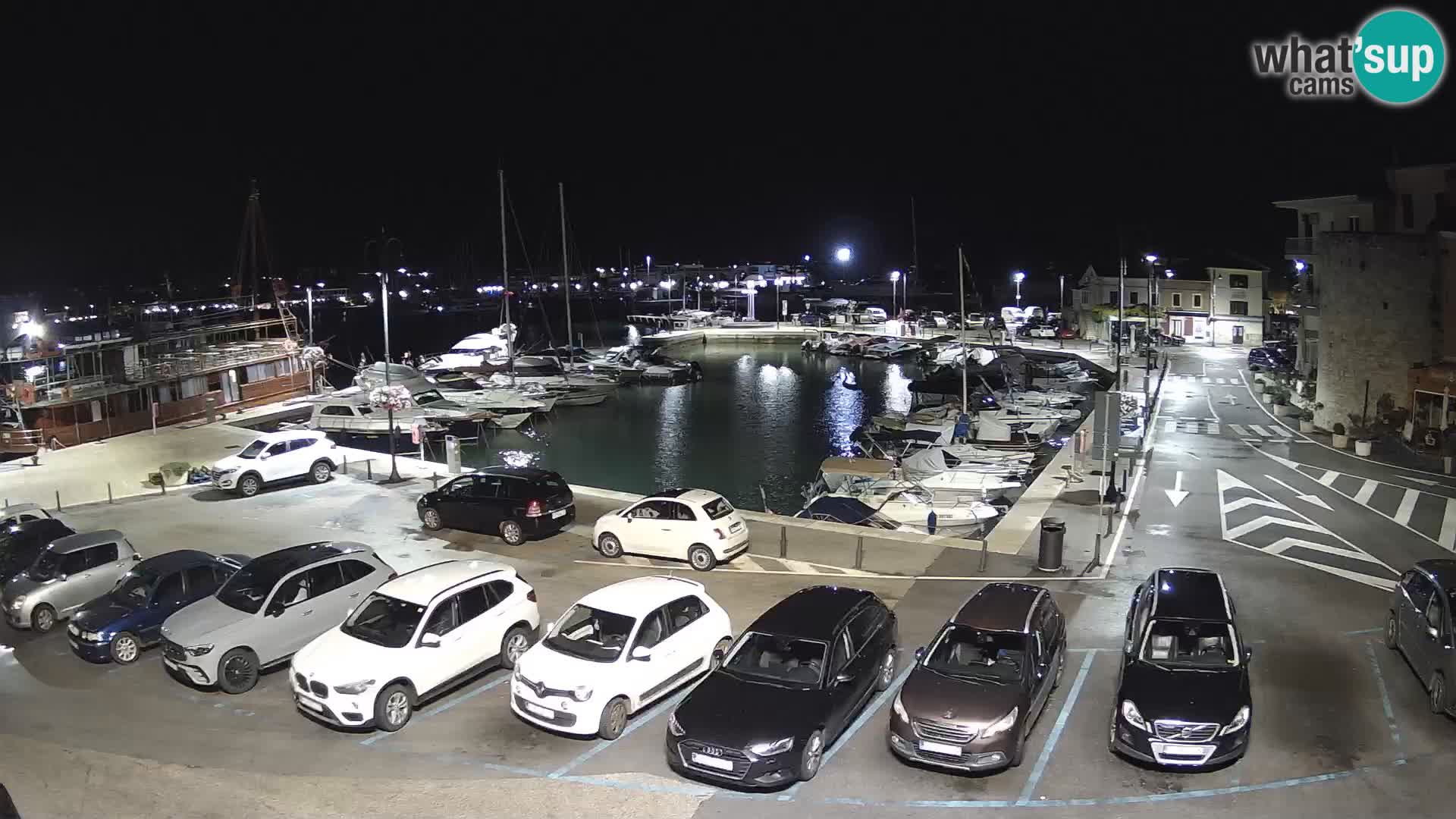 Novigrad | Porporela marina
