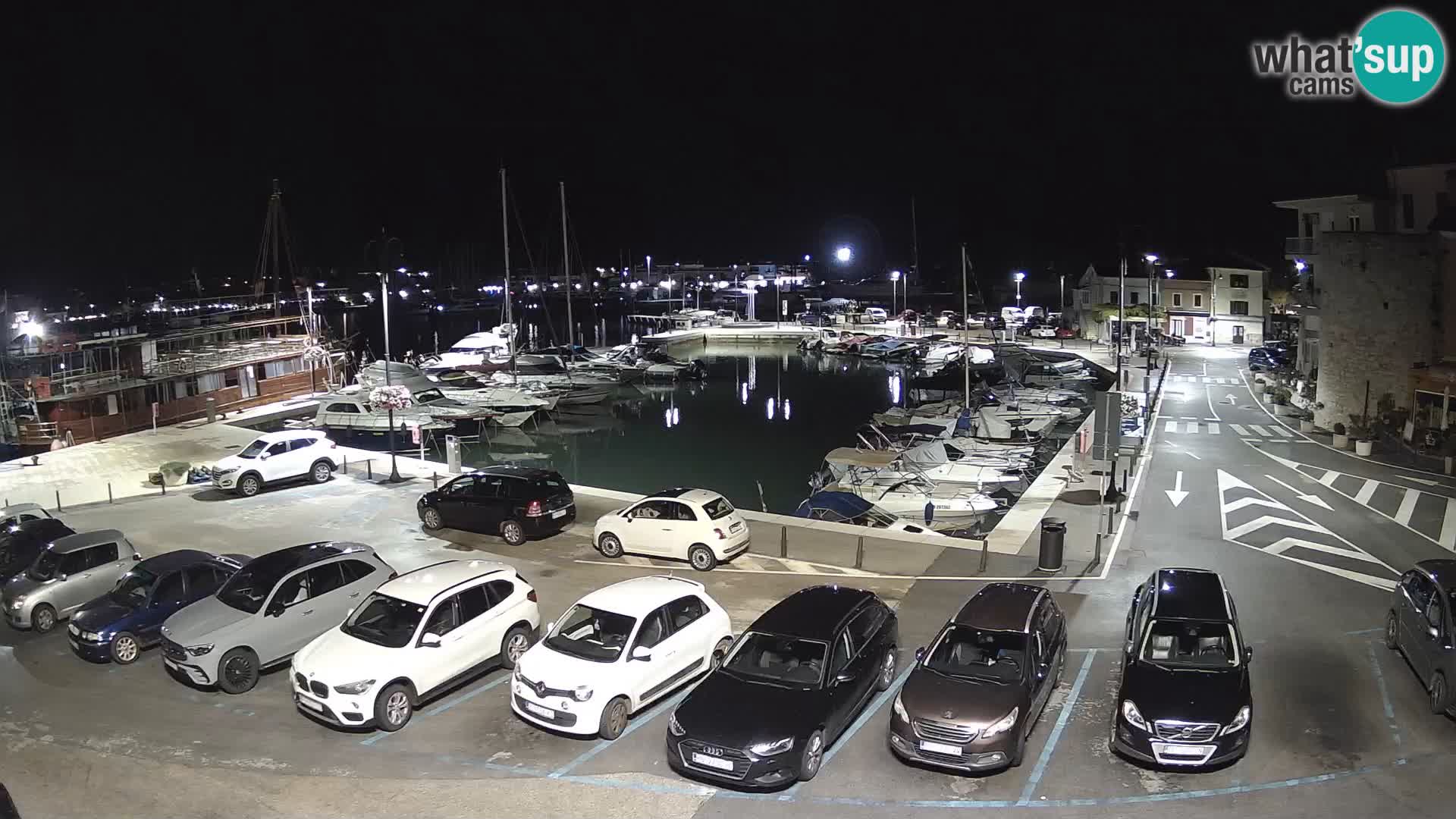 Novigrad | Porporela marina