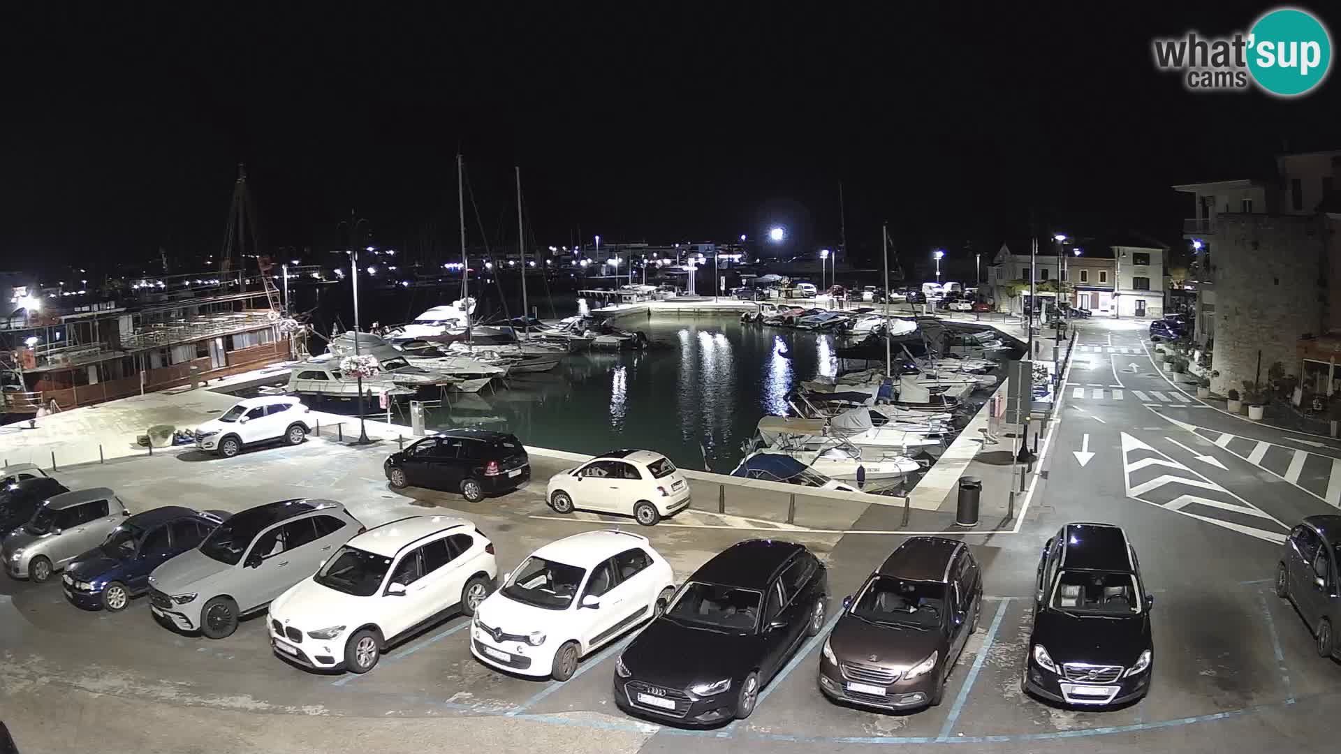 Novigrad | Porporela marina