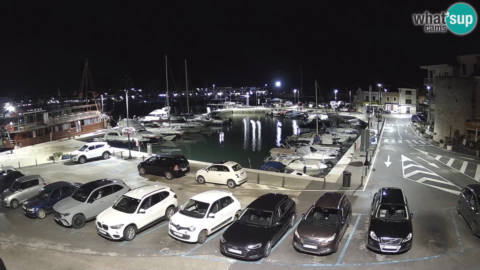 Novigrad | Porporela marina