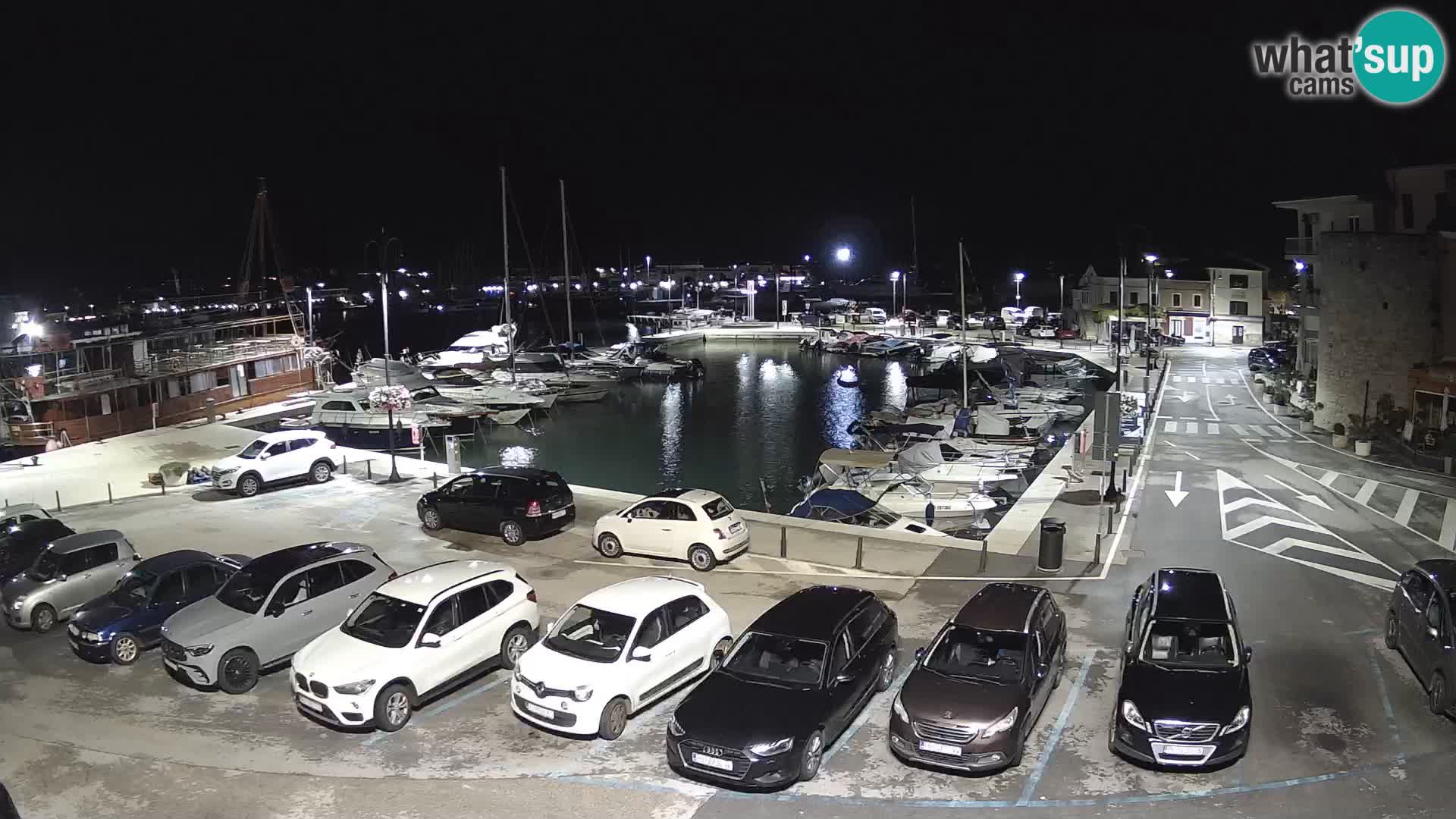 Novigrad | Porporela marina