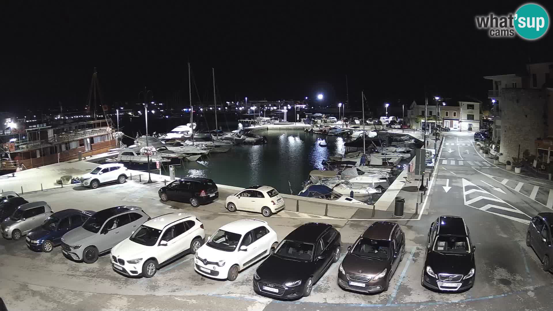 Novigrad | Porporela marina