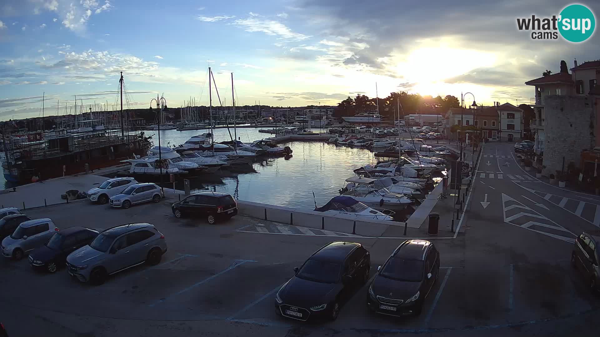 Novigrad | Porporela marina