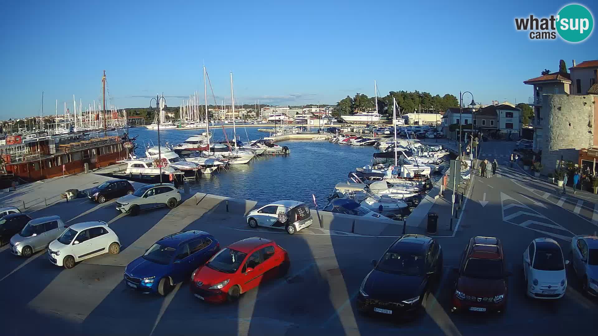 Novigrad | Porporela marina