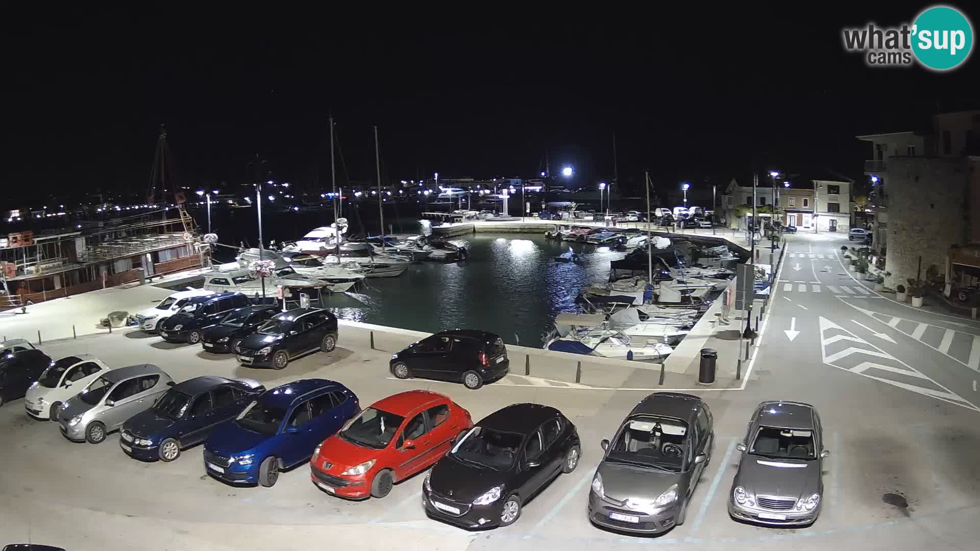 Novigrad | Porporela marina