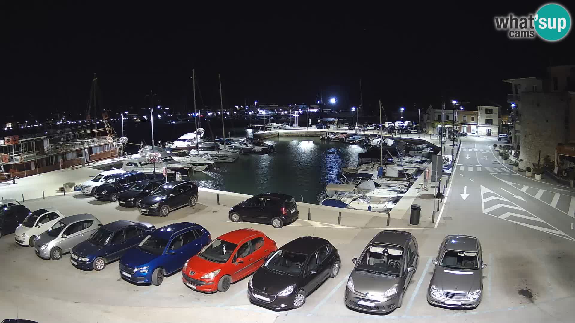 Novigrad | Porporela marina