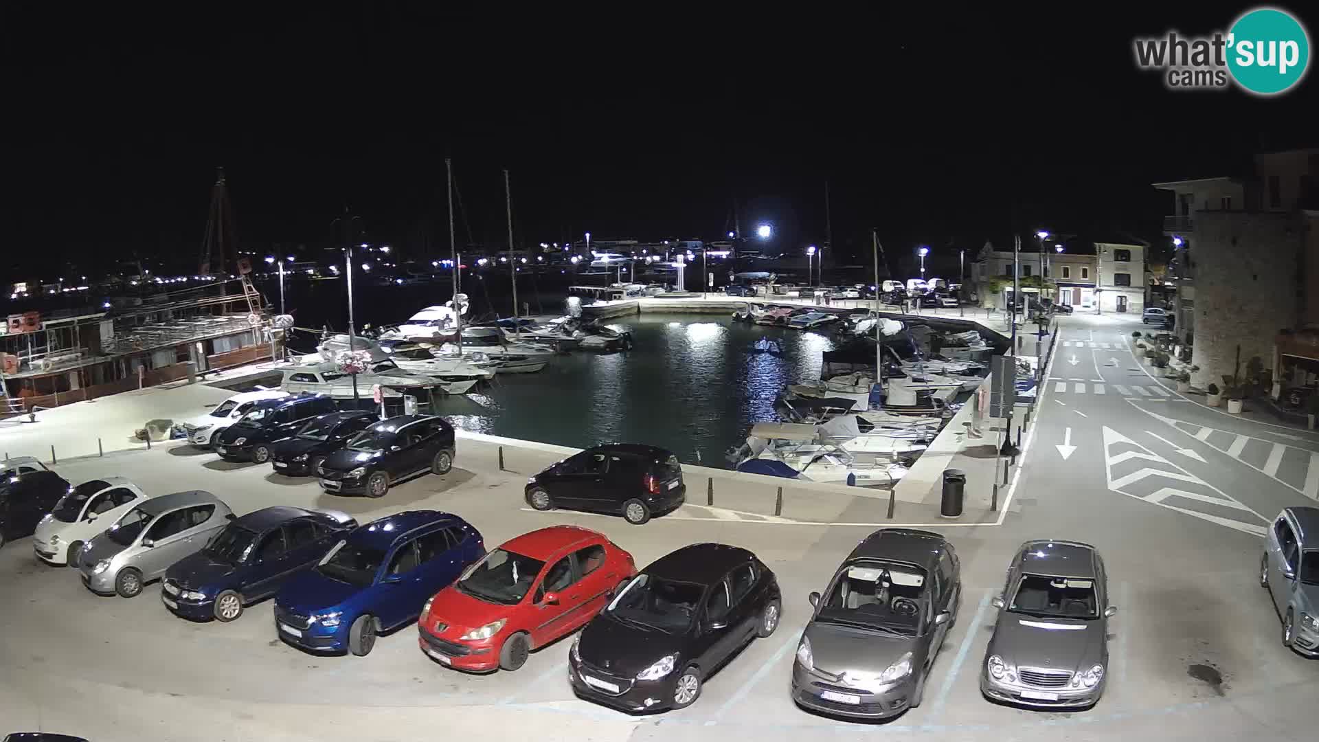 Novigrad | Porporela marina