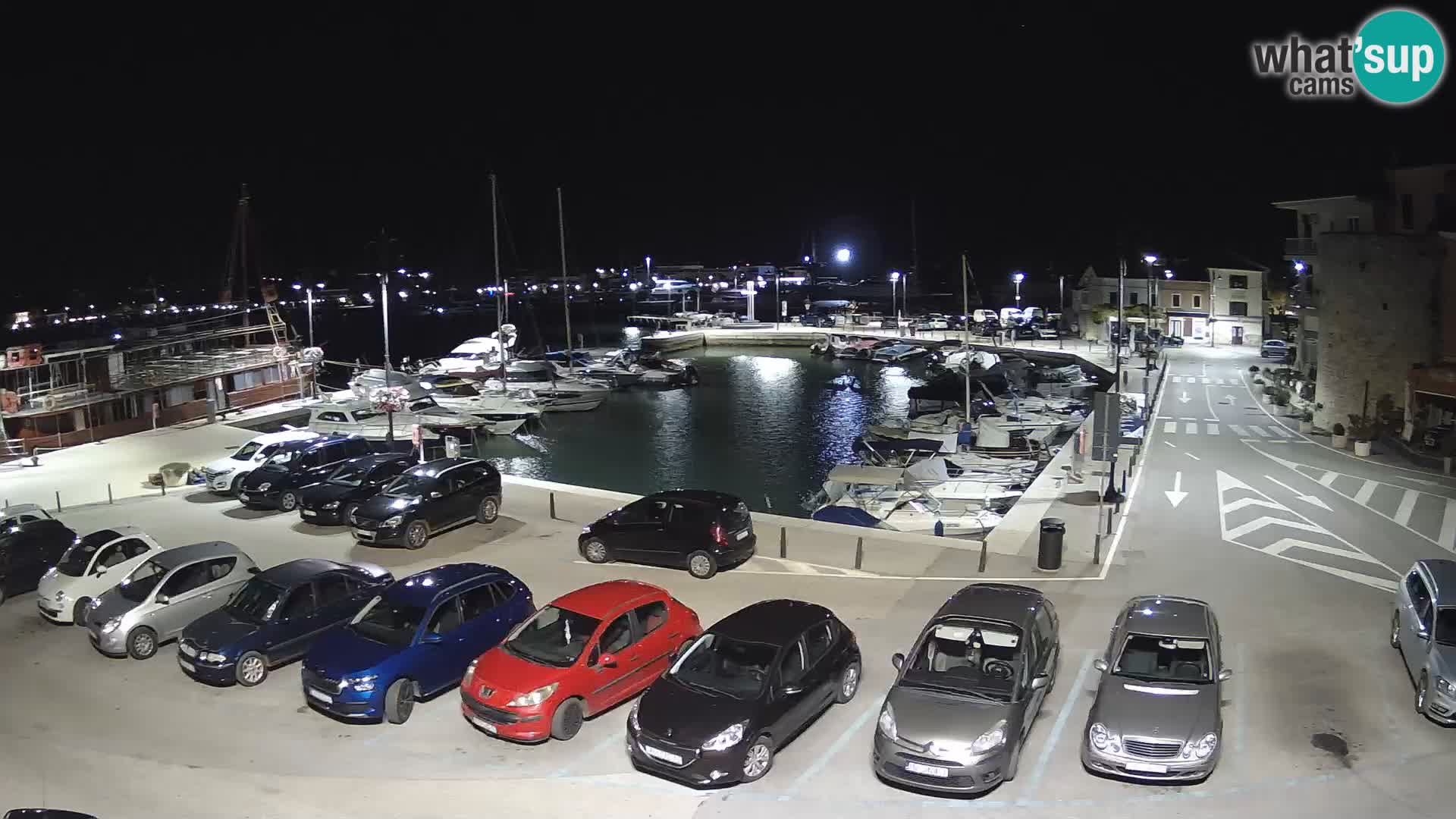 Novigrad | Porporela marina