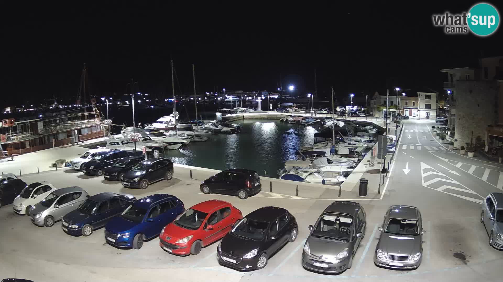 Novigrad | Porporela marina