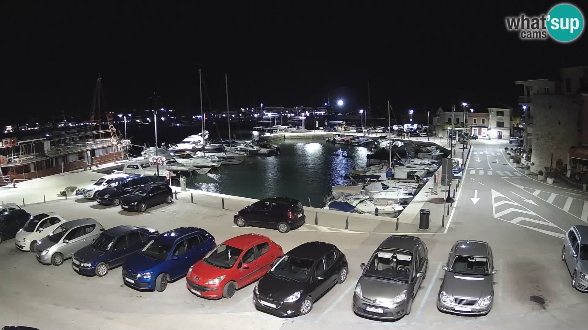 Novigrad | Porporela marina