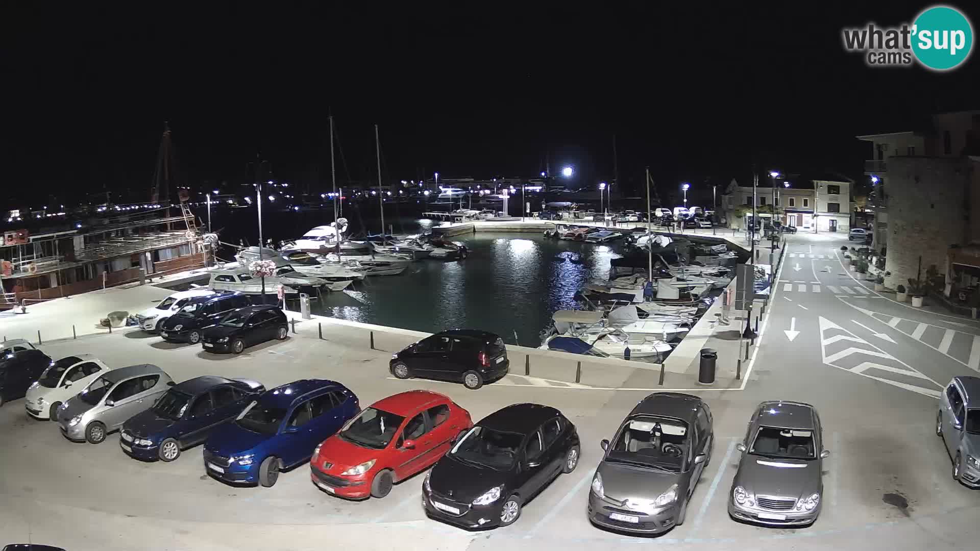 Novigrad | Porporela marina