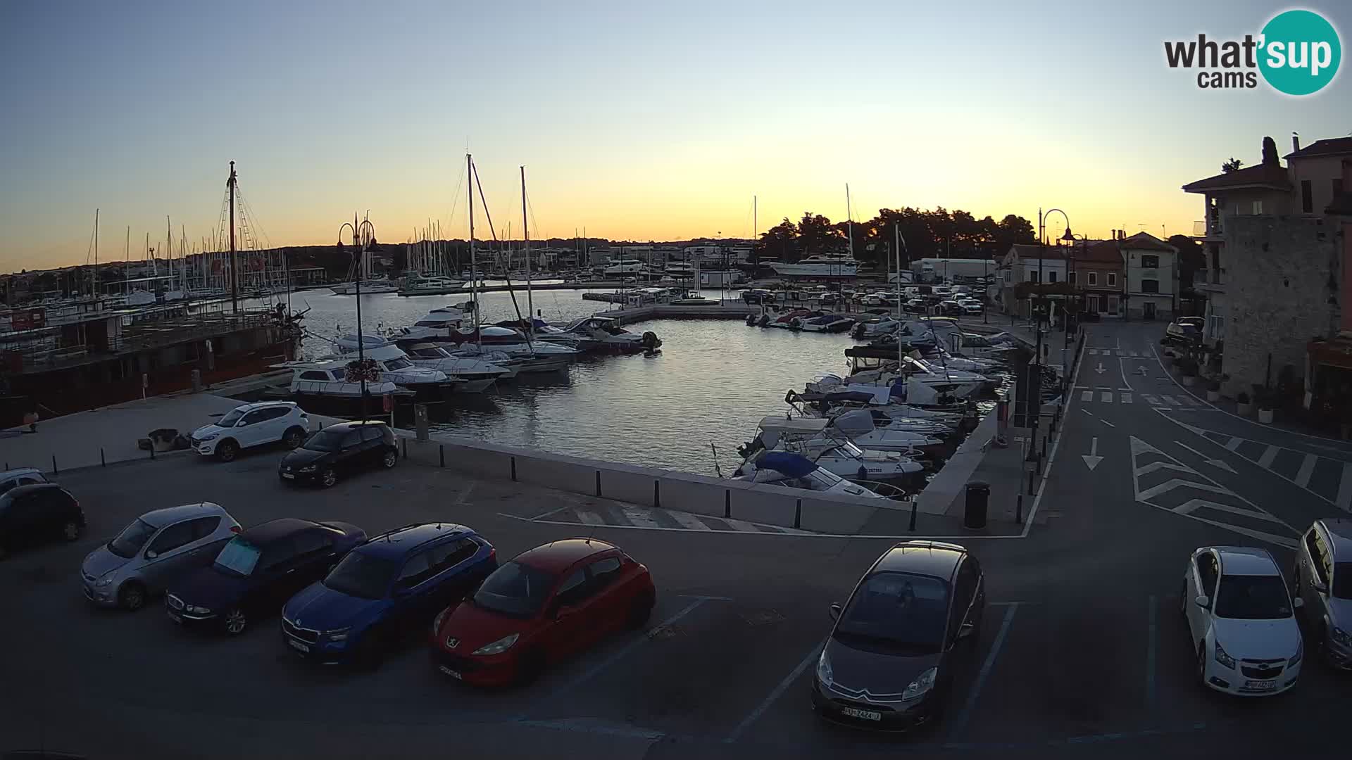 Novigrad | Porporela marina