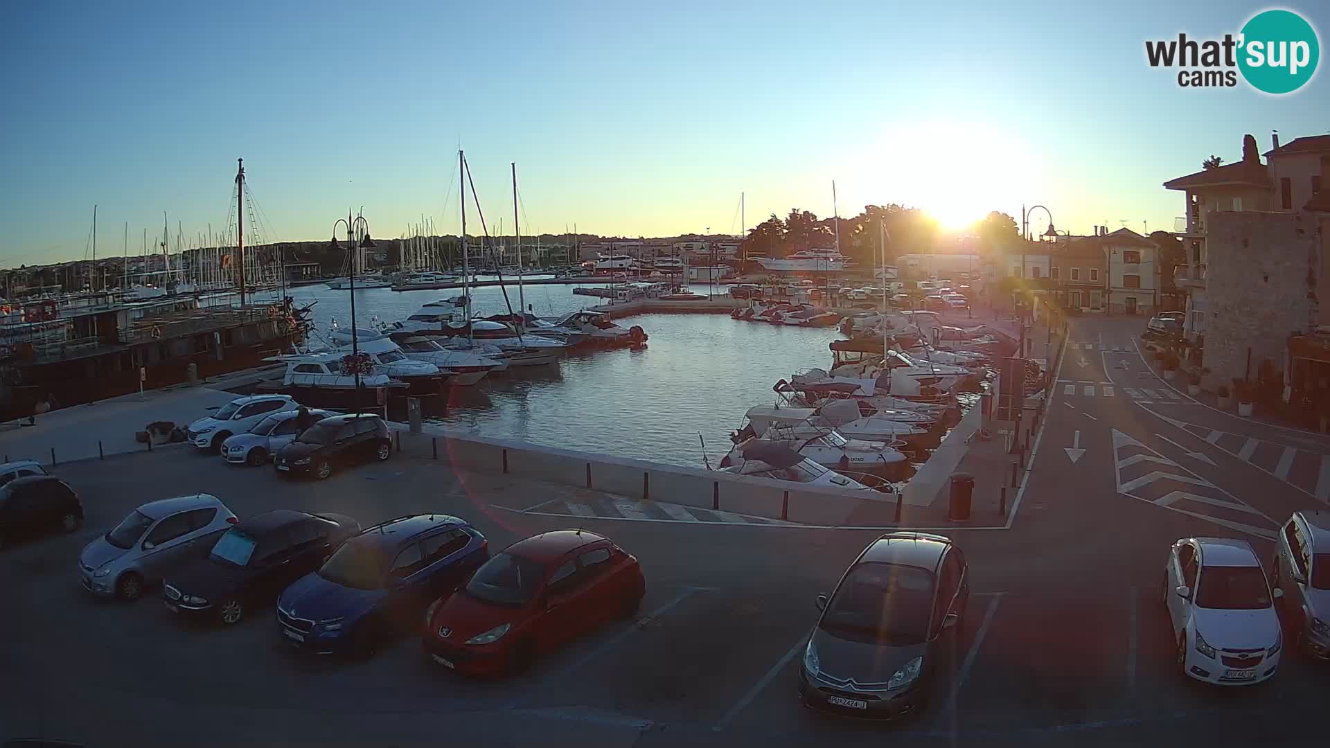 Novigrad | Porporela marina
