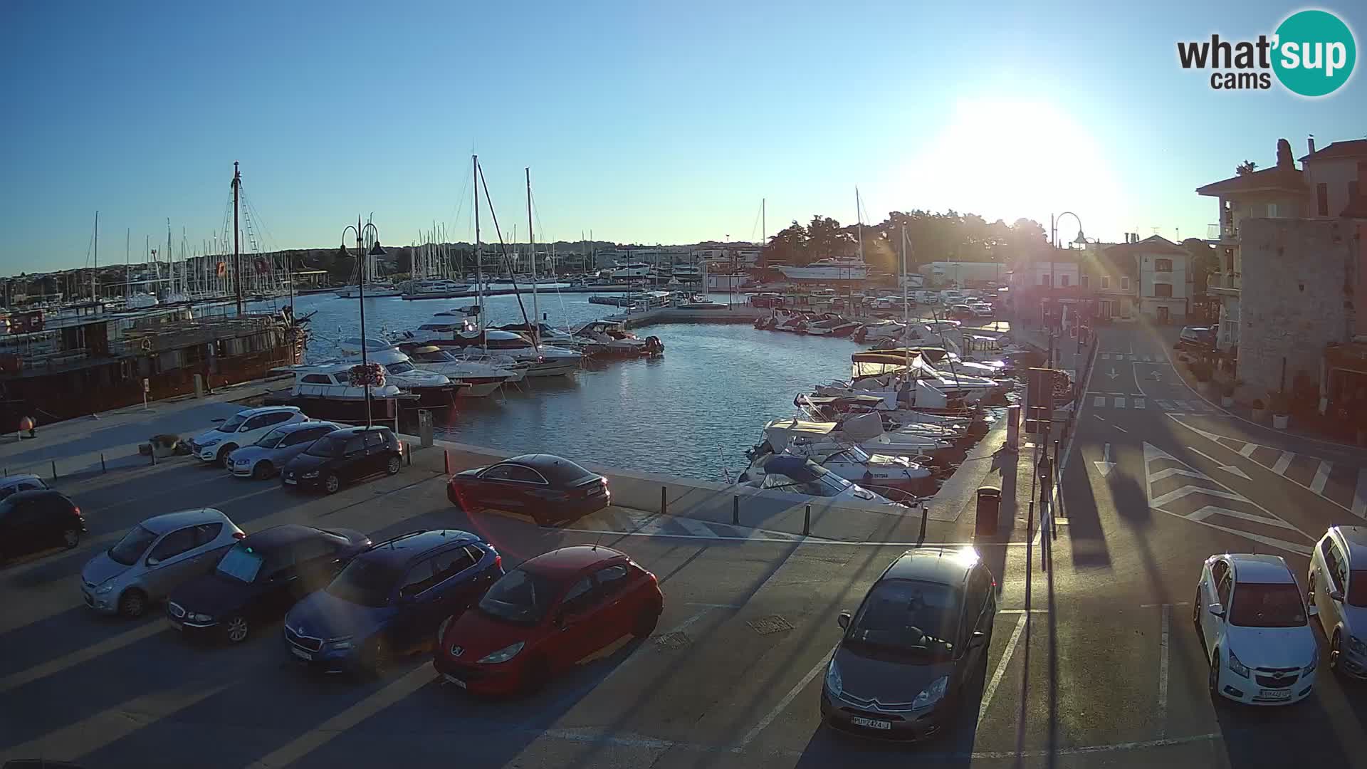 Novigrad | Porporela marina