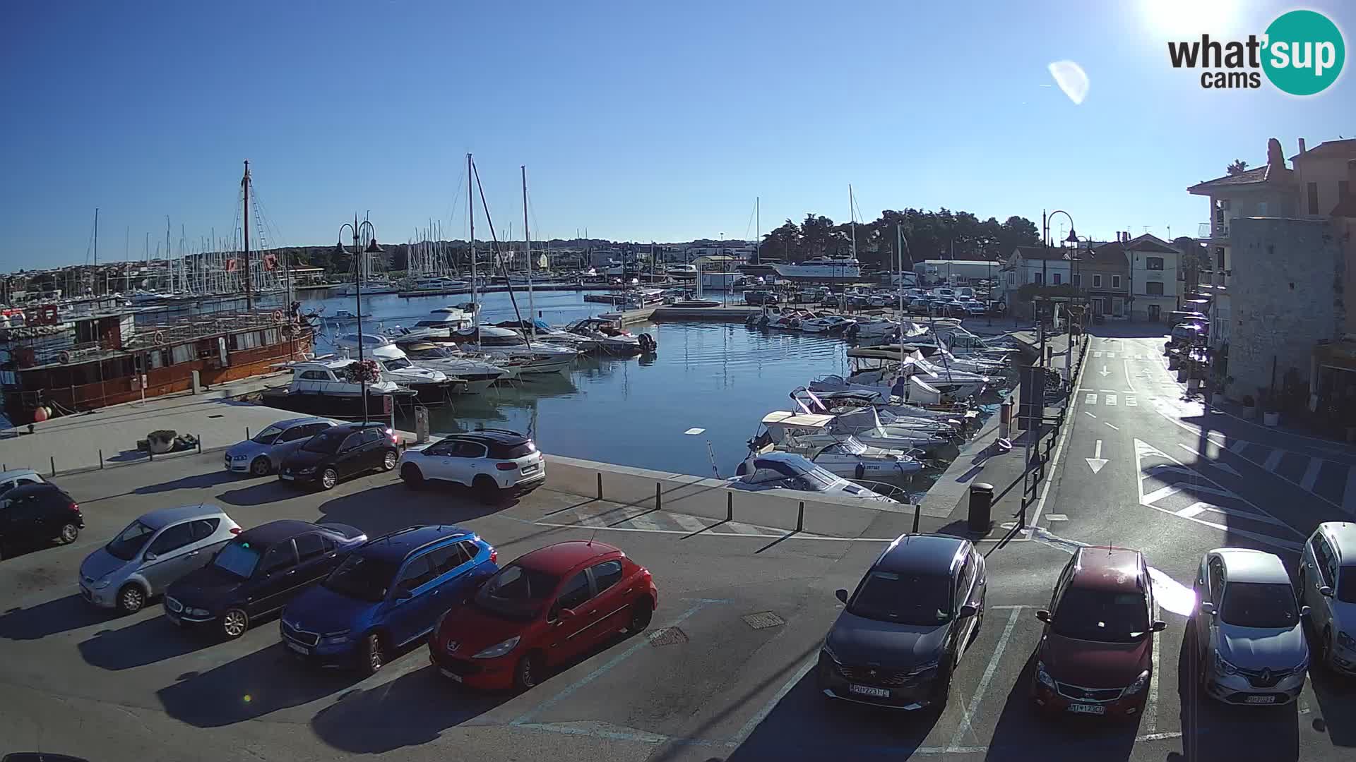 Novigrad | Porporela marina