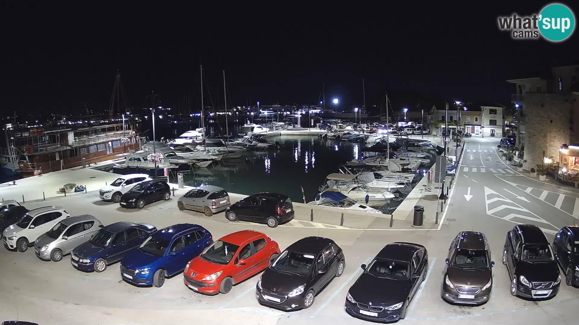 Novigrad | Porporela marina
