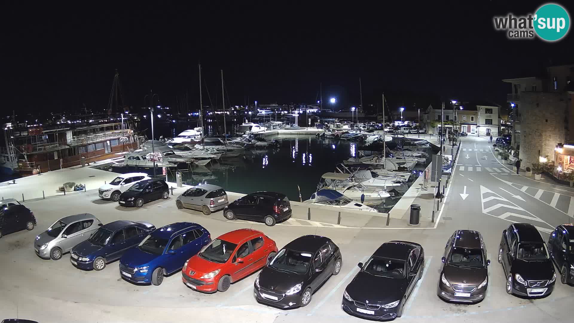 Novigrad | Porporela marina