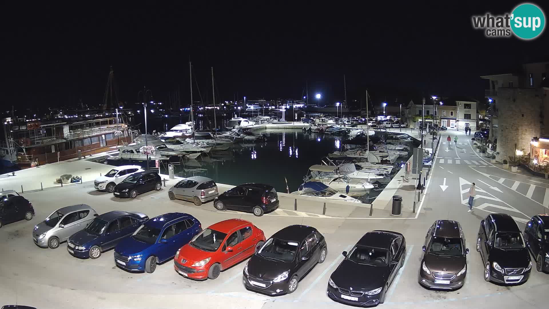 Novigrad | Porporela marina
