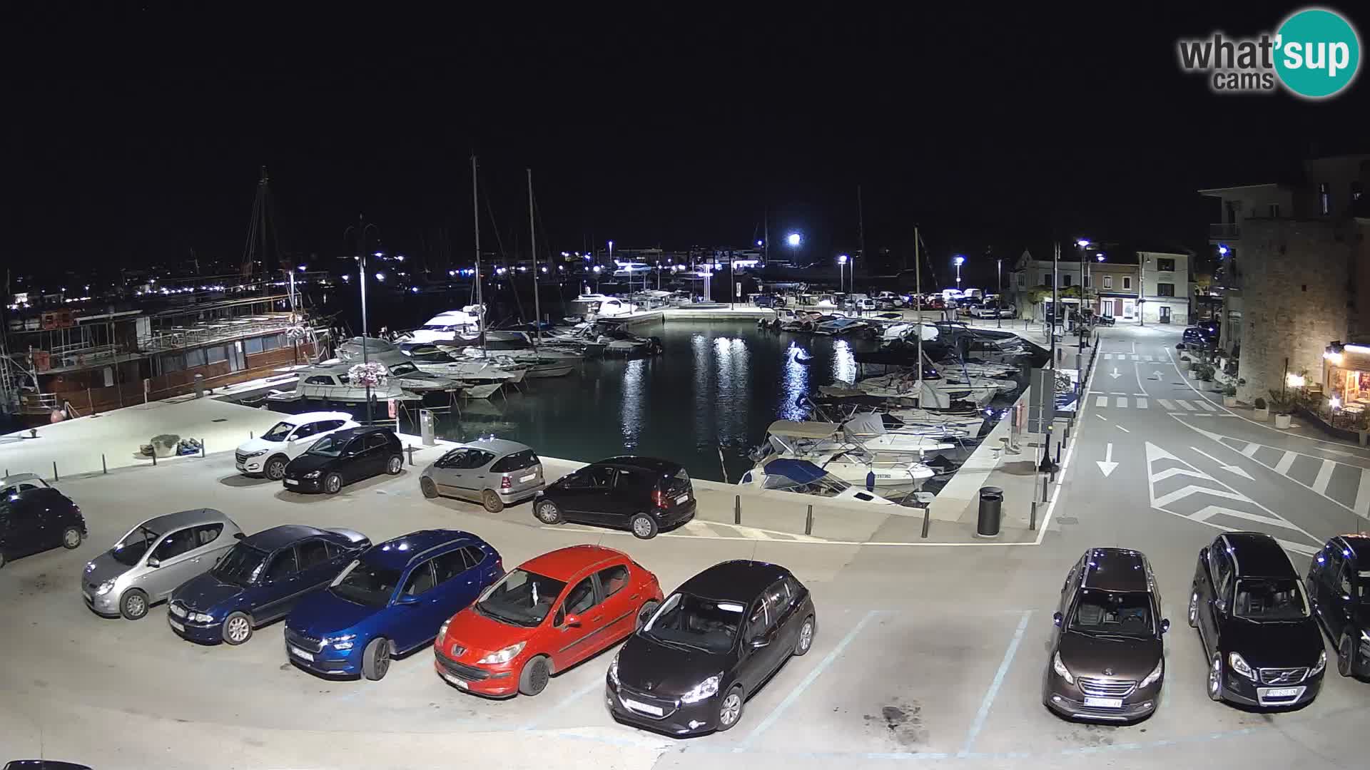Novigrad | Porporela marina