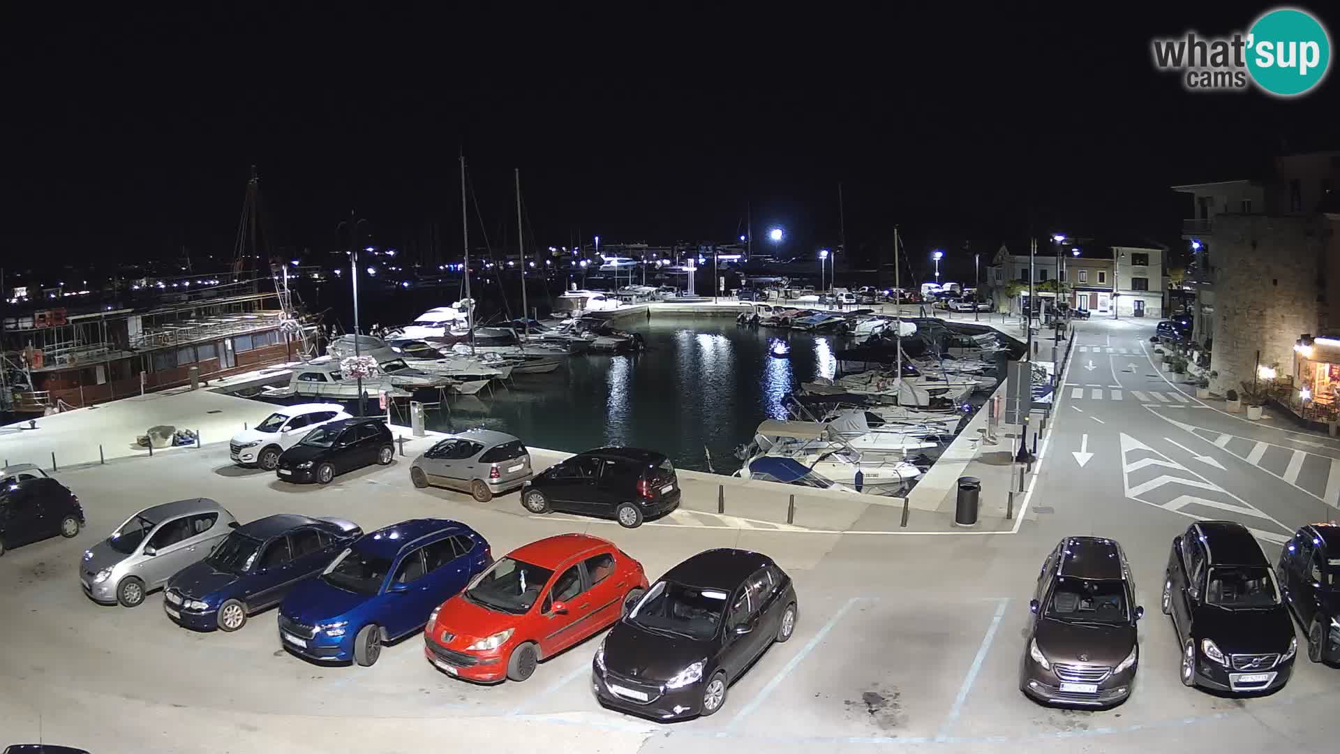 Novigrad | Porporela marina