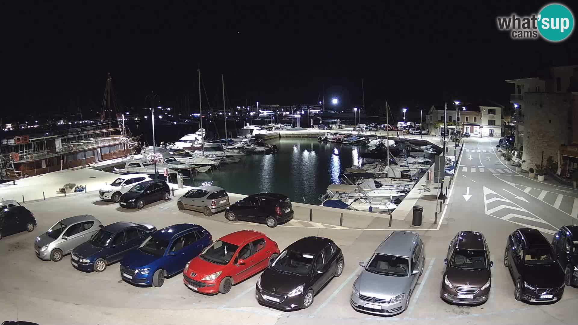 Novigrad | Porporela marina