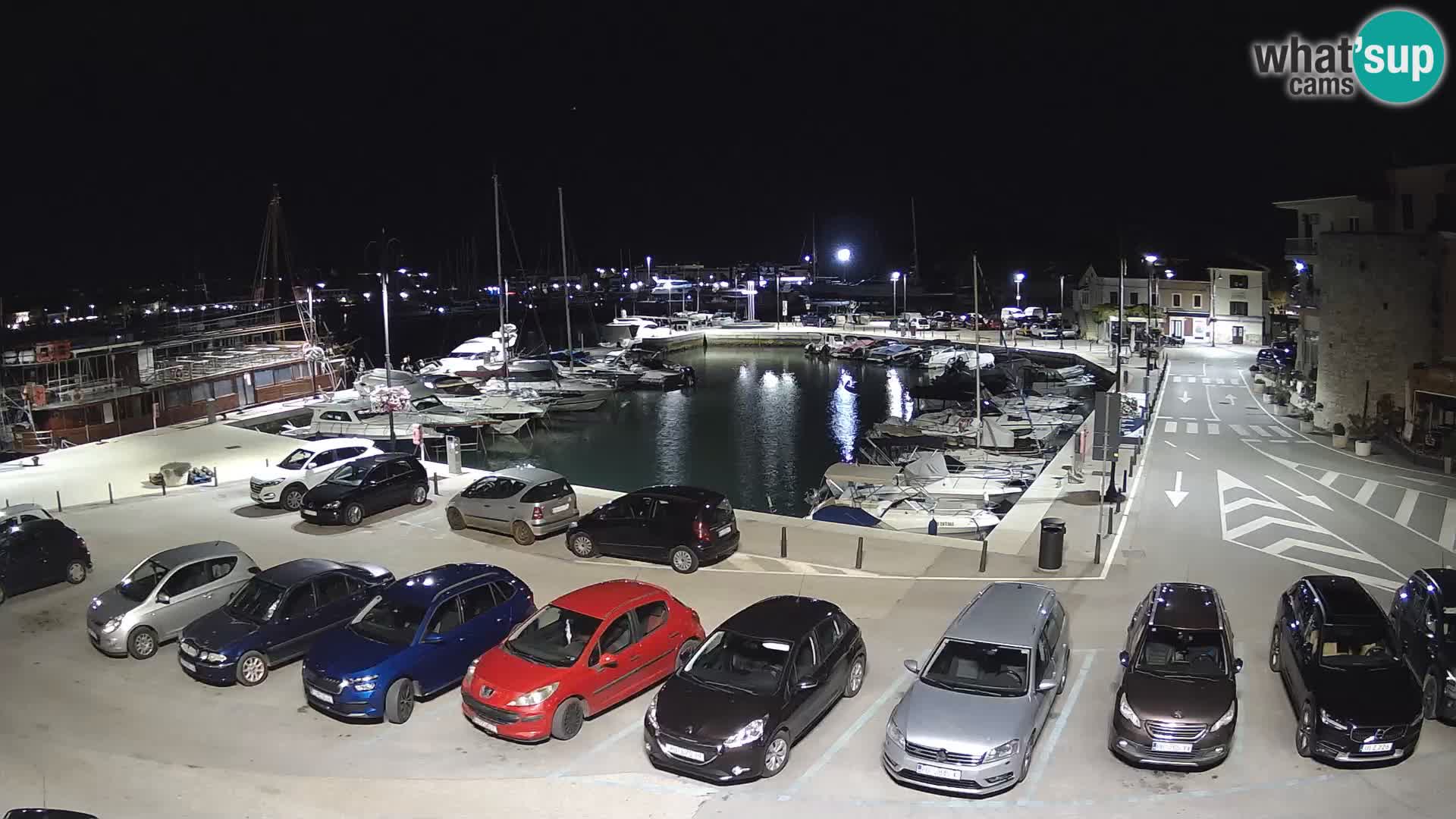 Novigrad | Porporela marina