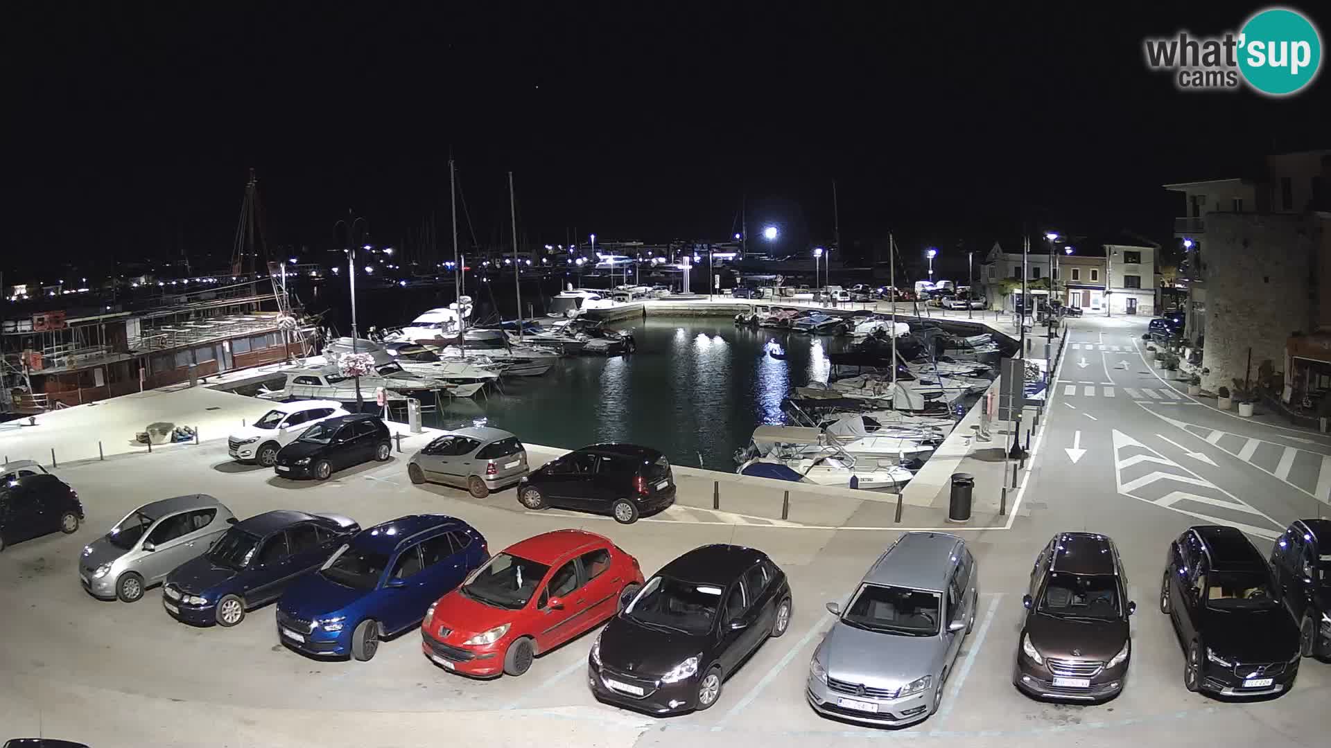 Novigrad | Porporela marina