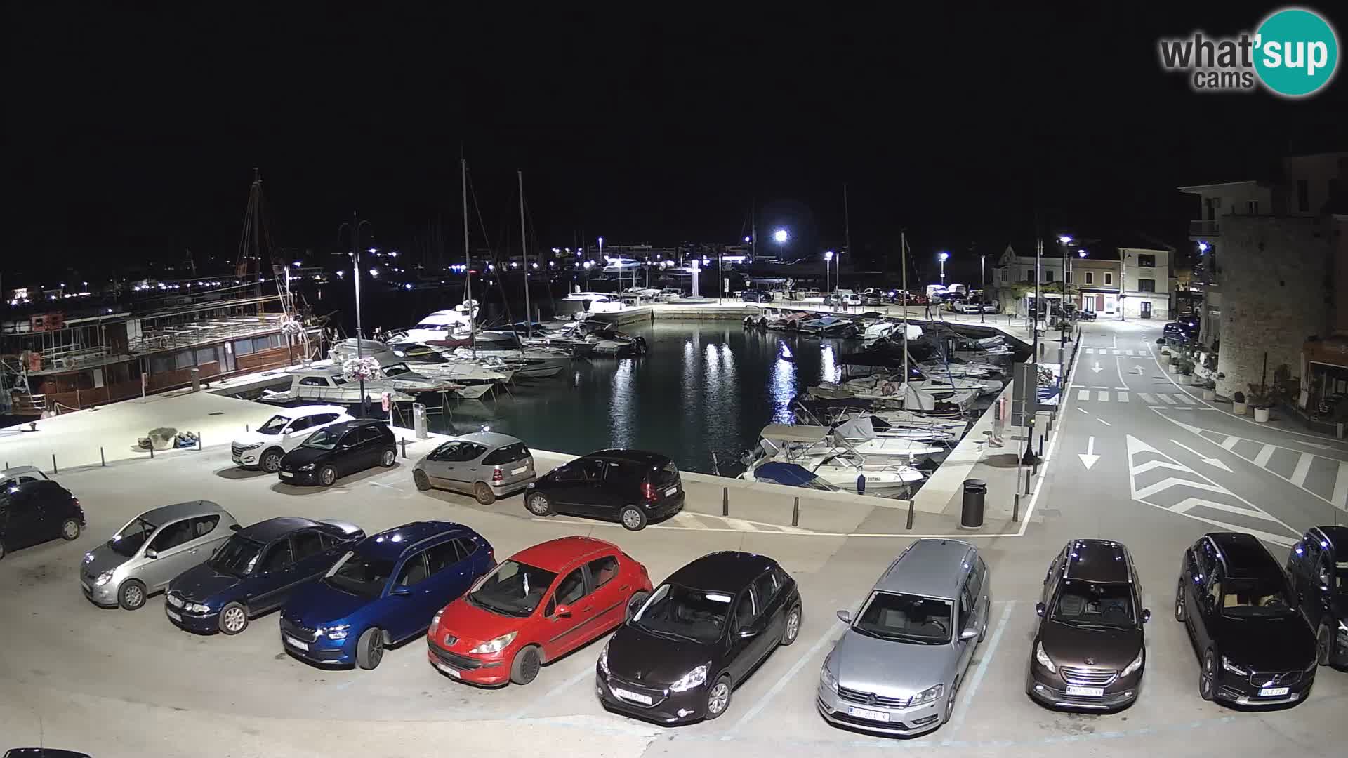 Novigrad | Porporela marina