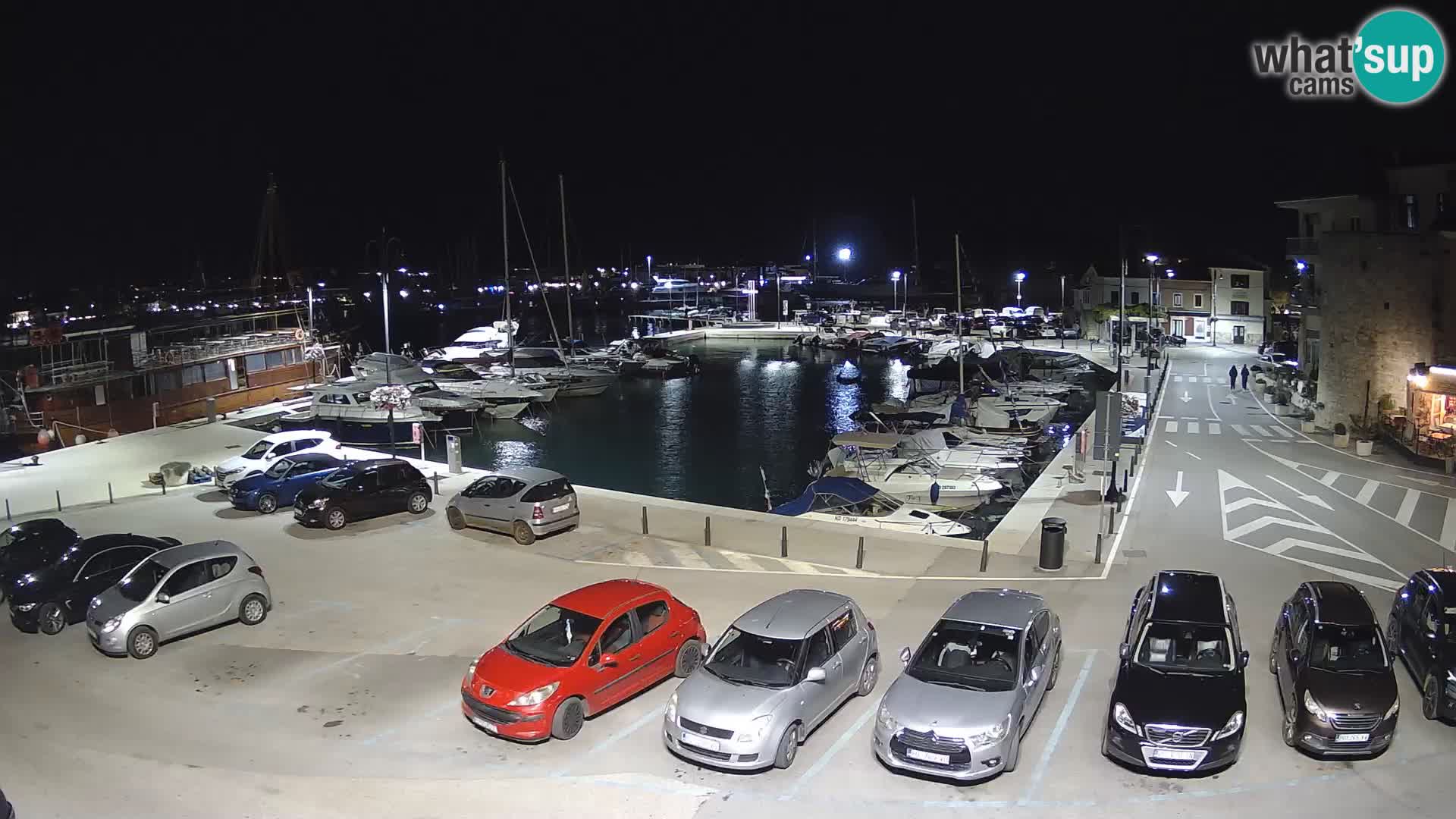 Novigrad | Porporela marina