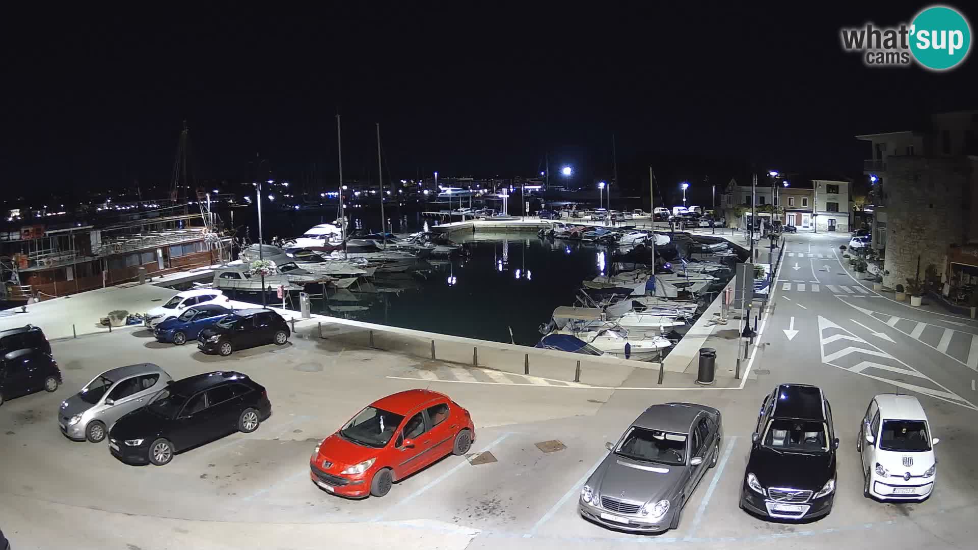 Novigrad | Porporela marina