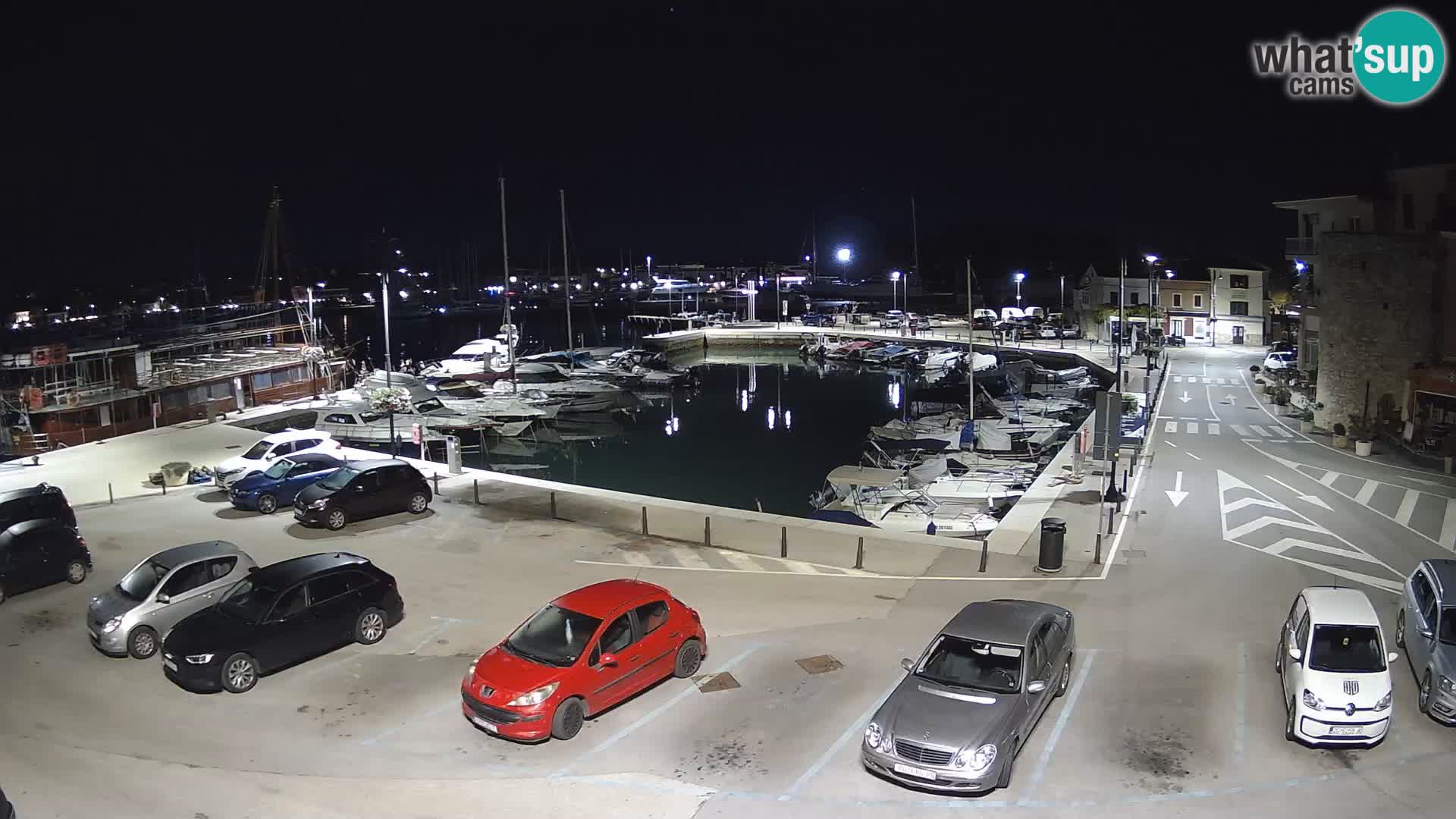 Novigrad | Porporela marina