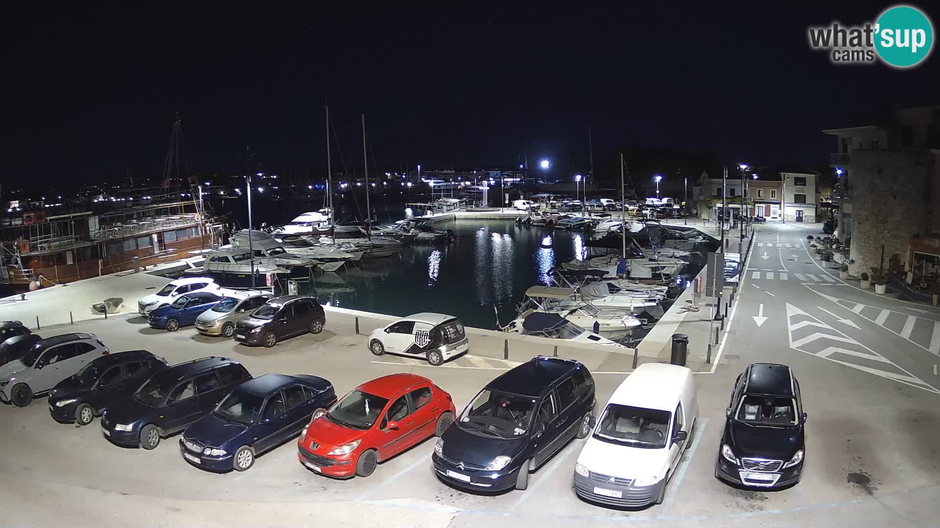 Novigrad | Porporela marina