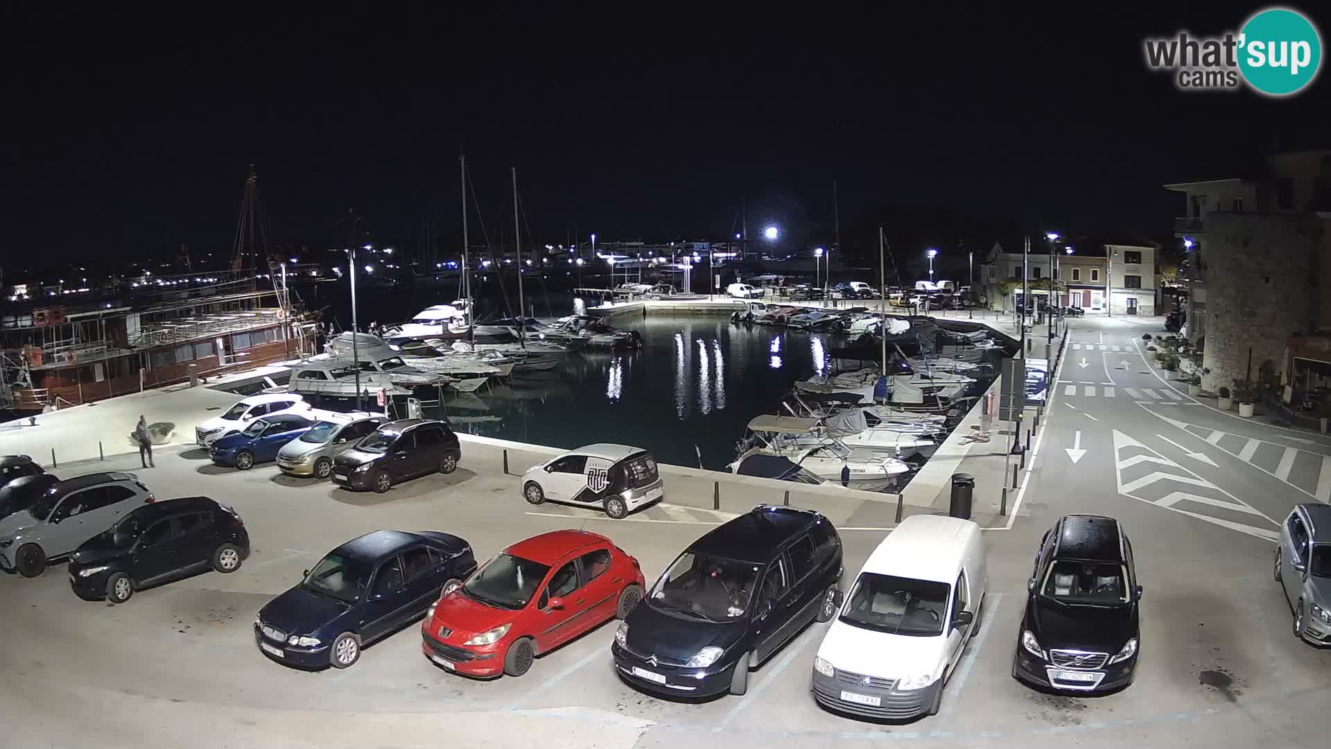 Novigrad | Porporela marina