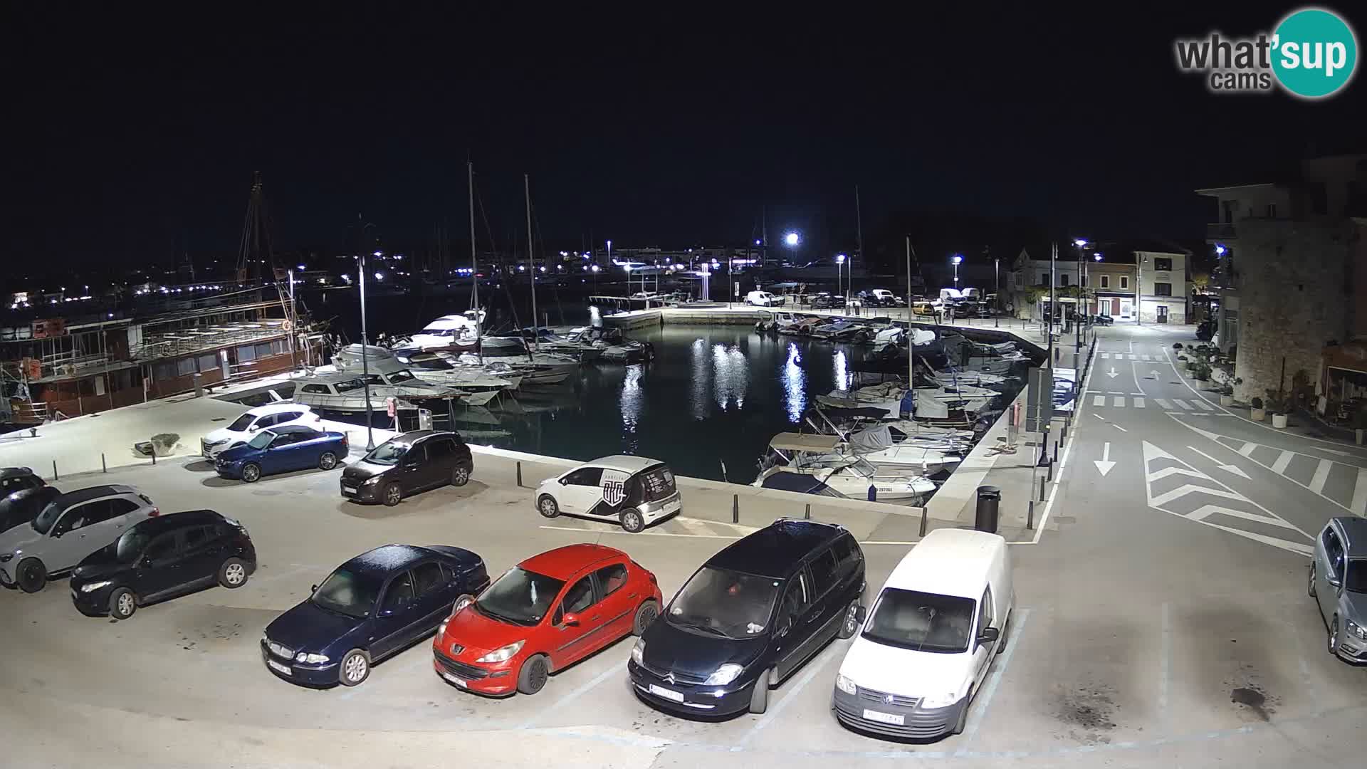 Novigrad | Porporela marina