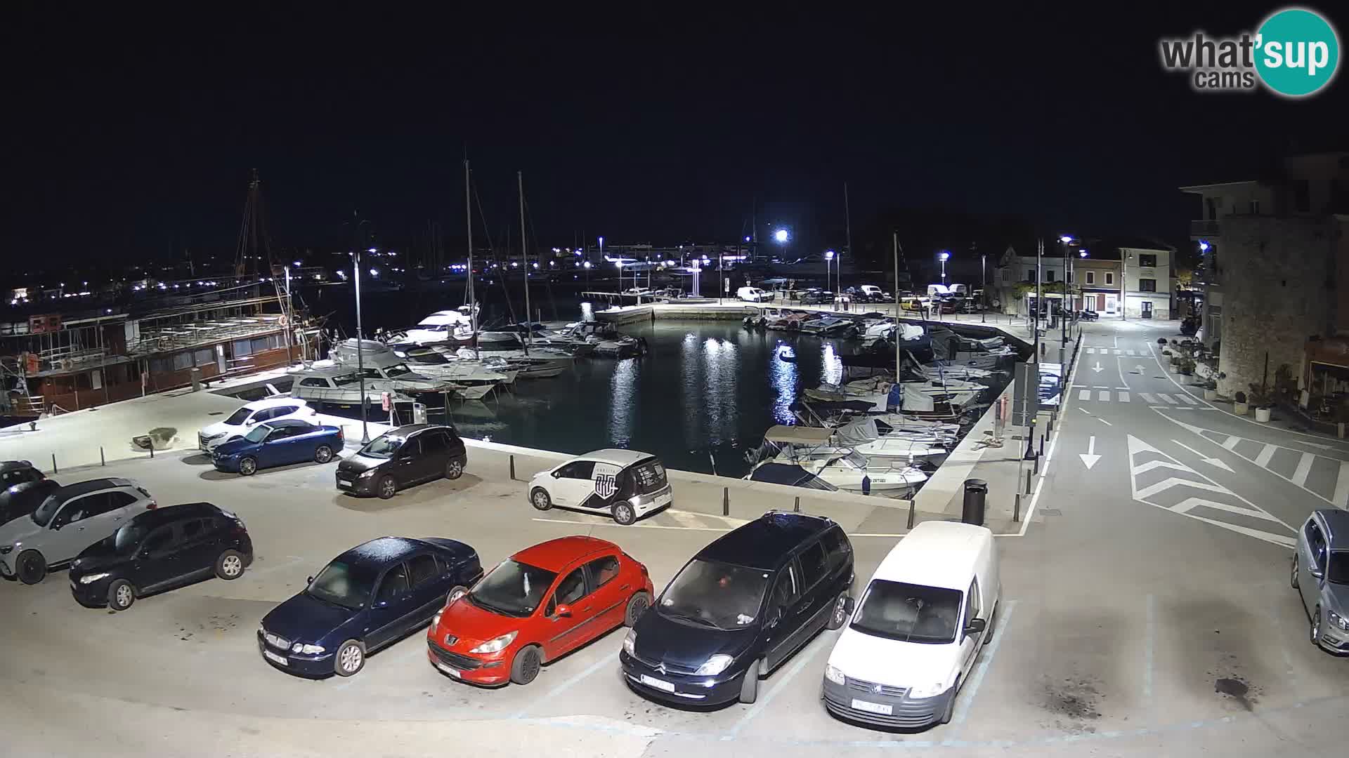 Novigrad | Porporela marina