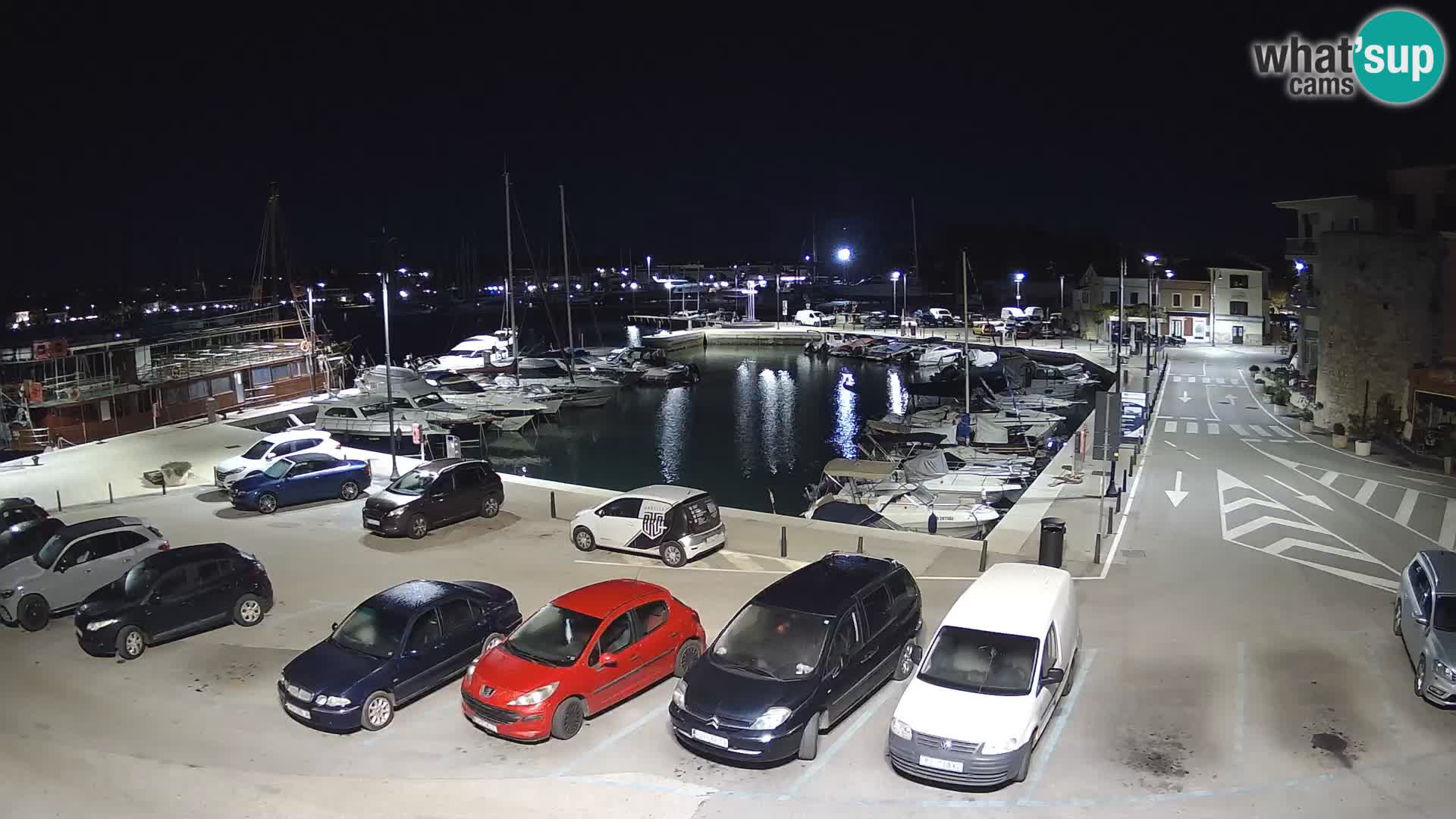 Novigrad | Porporela marina