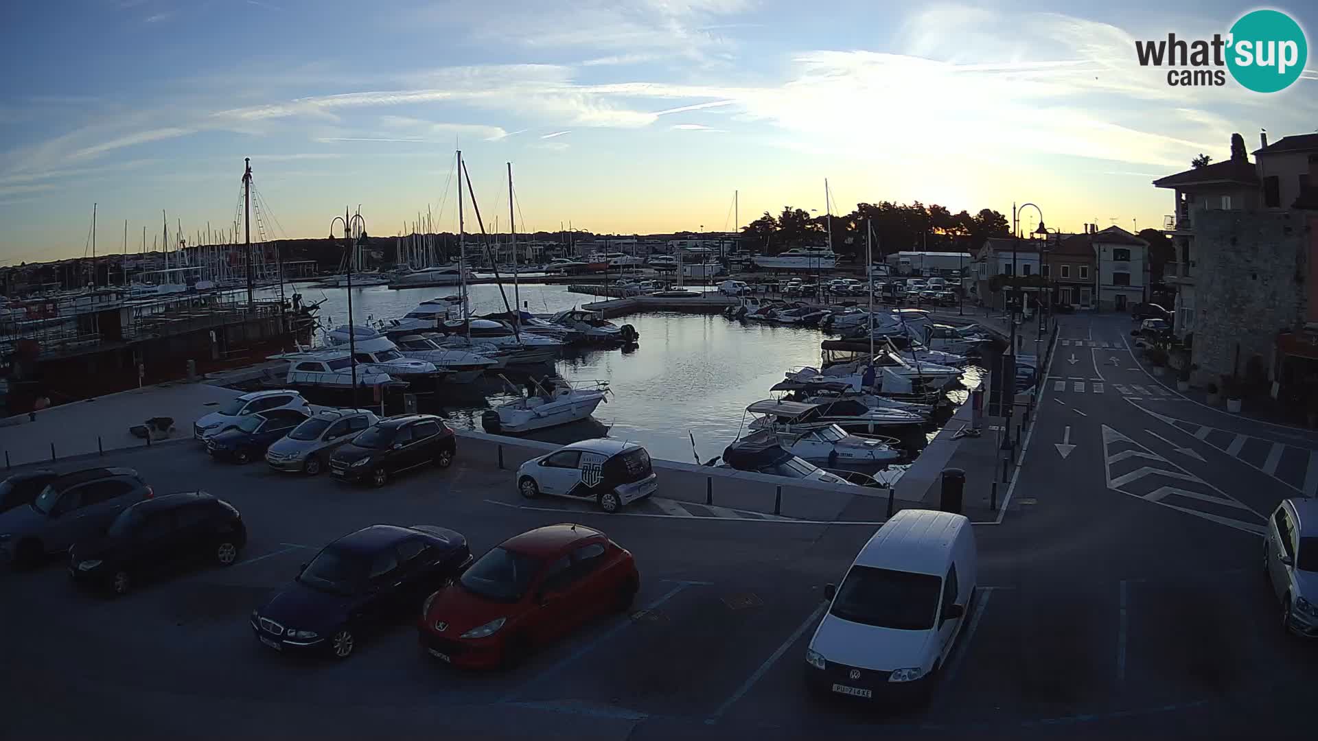 Novigrad | Porporela marina