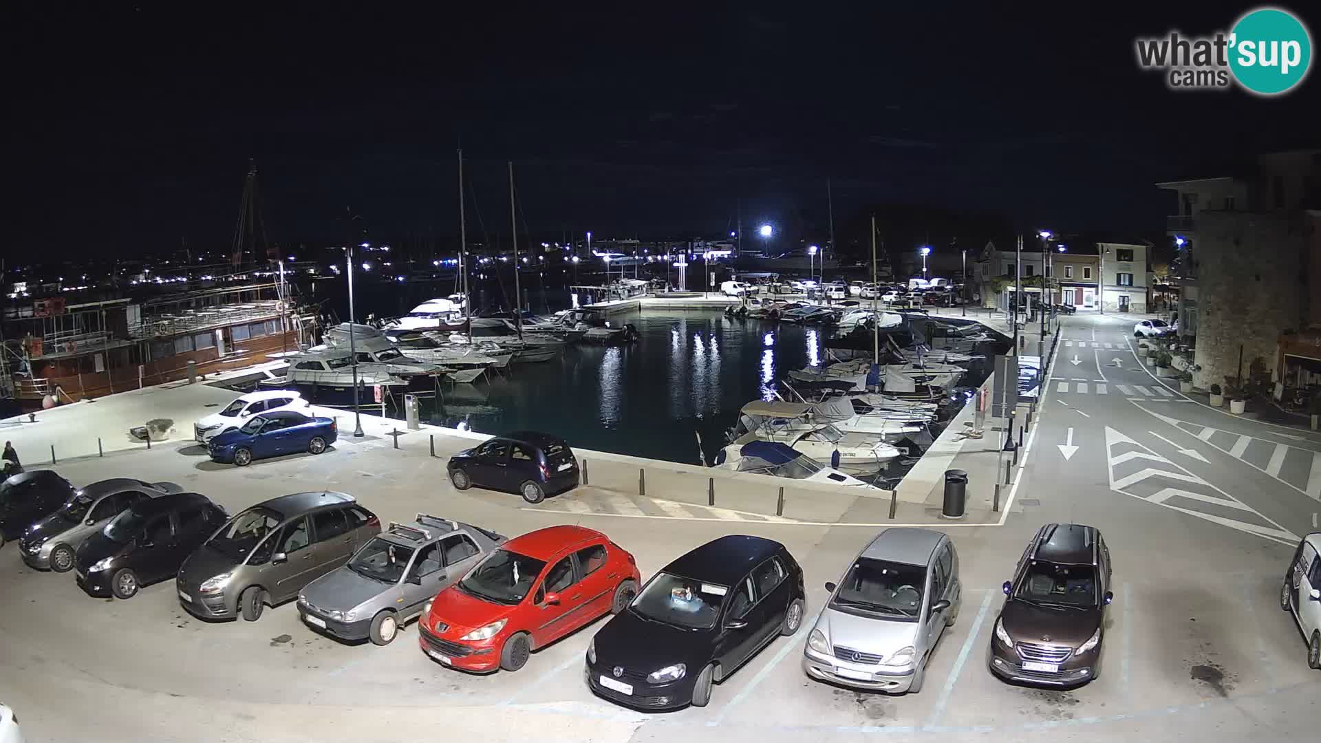 Novigrad | Porporela marina