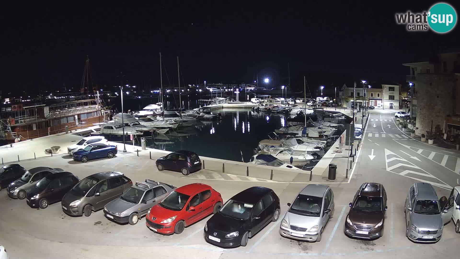 Novigrad | Porporela marina