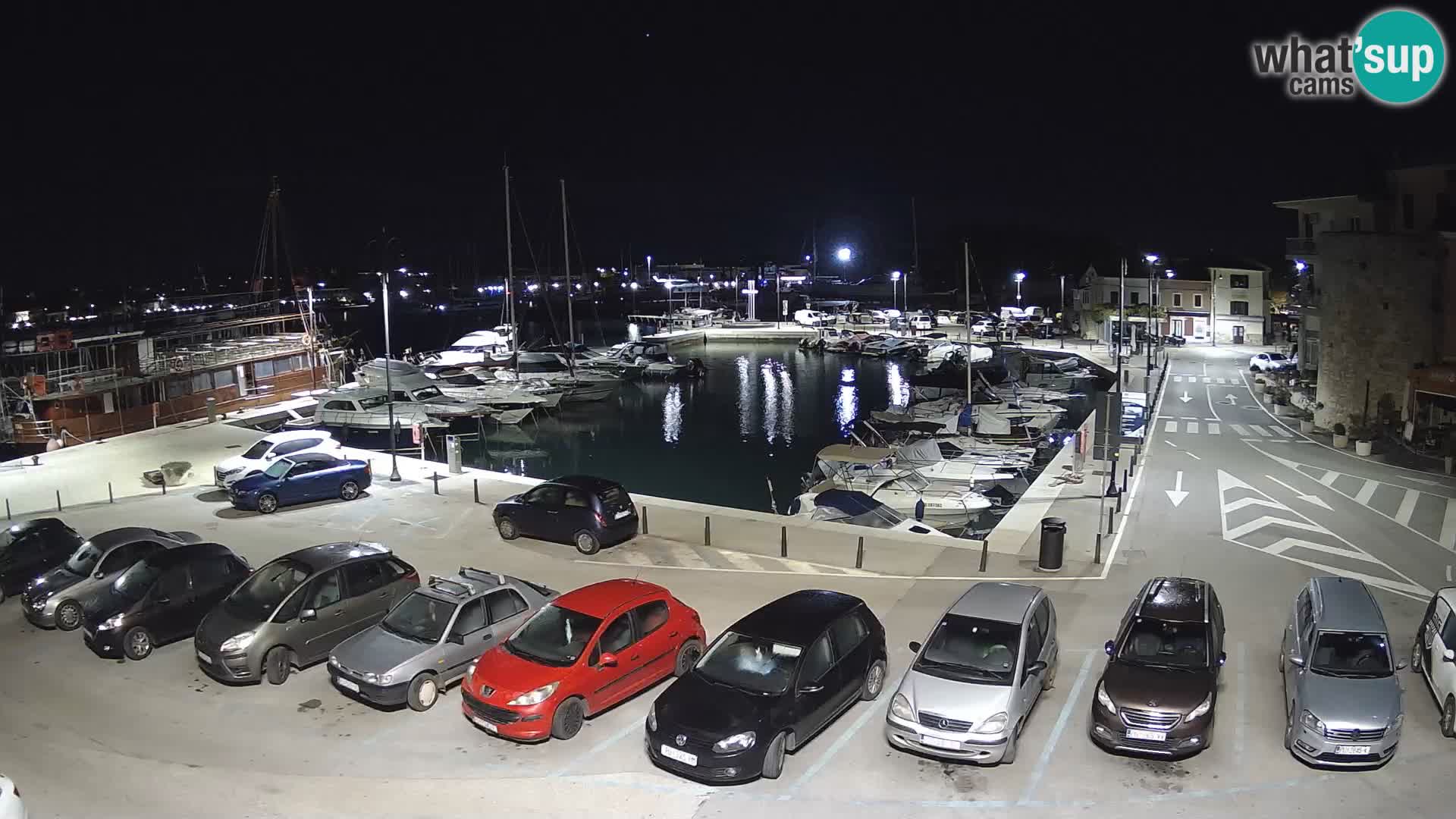 Novigrad | Porporela marina
