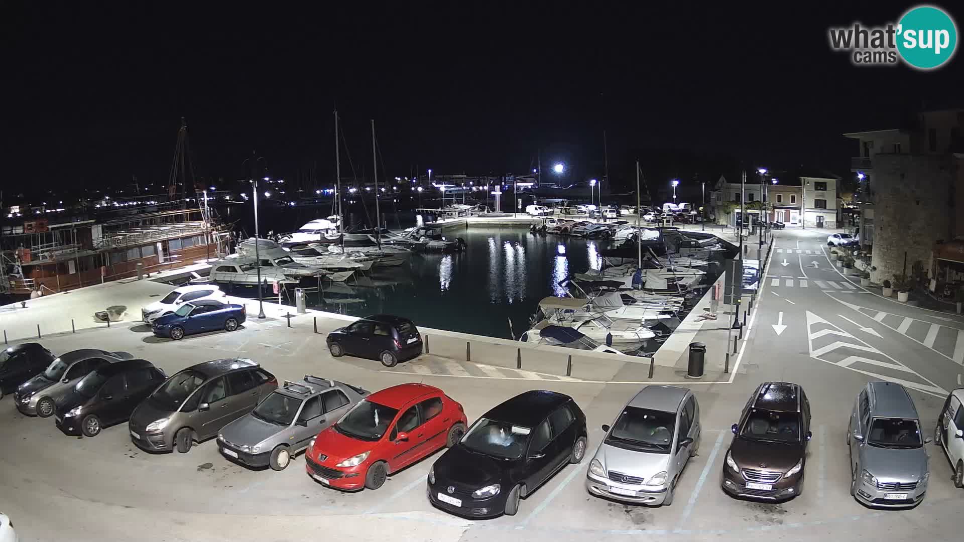 Novigrad | Porporela marina