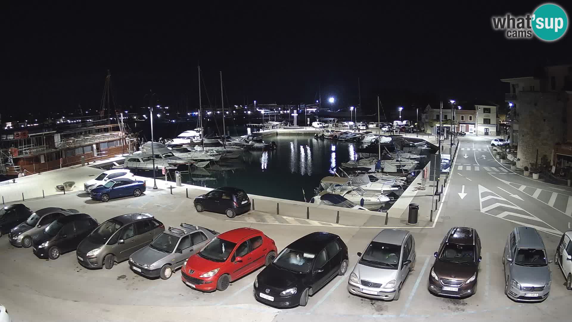 Novigrad | Porporela marina
