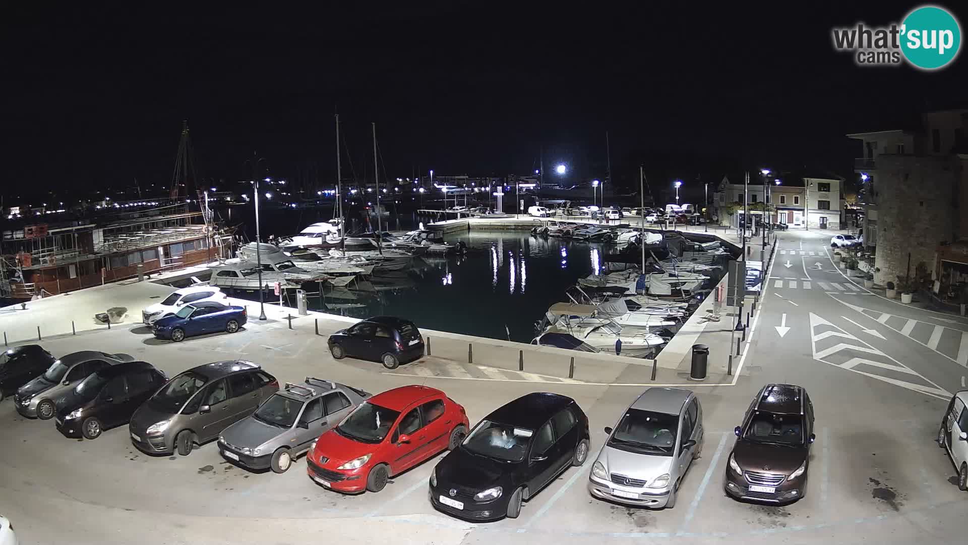 Novigrad | Porporela marina