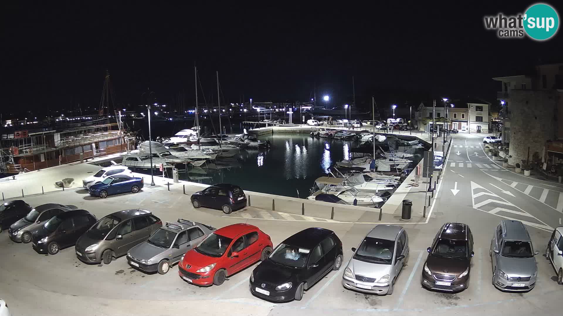 Novigrad | Porporela marina