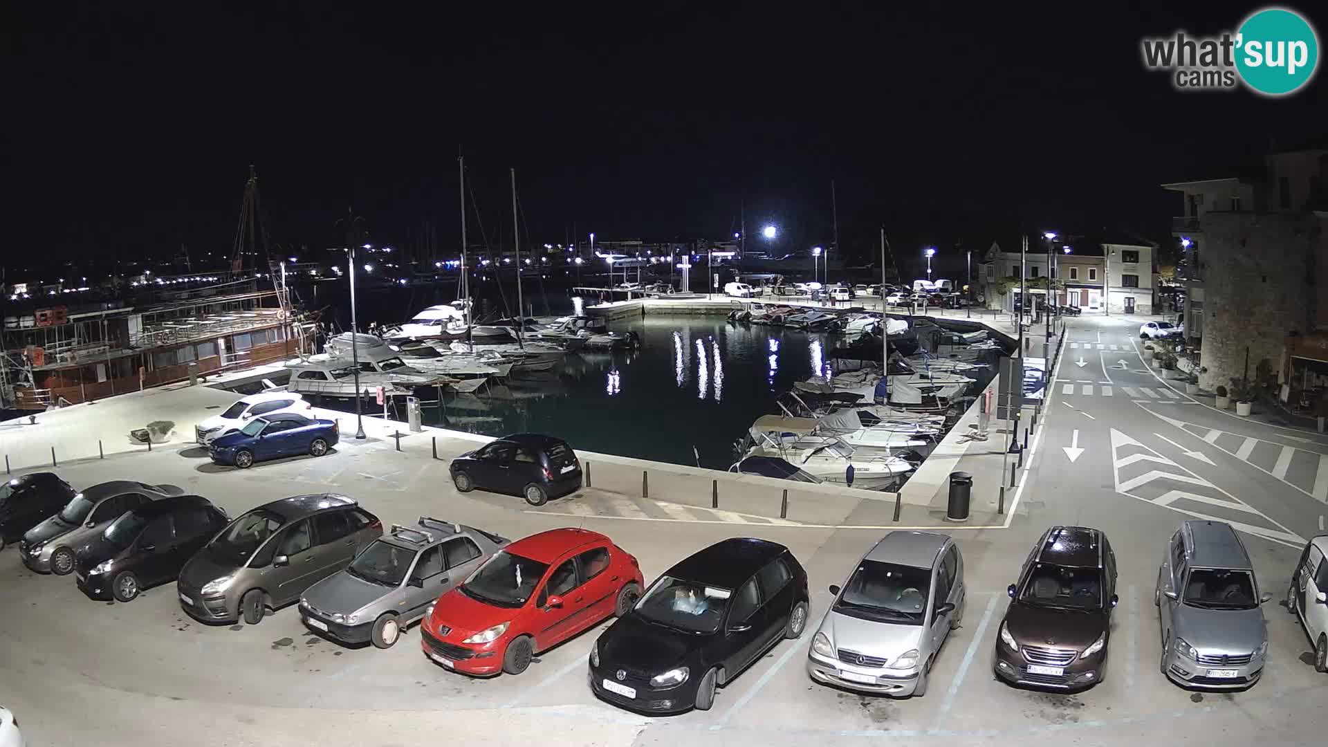 Novigrad | Porporela marina