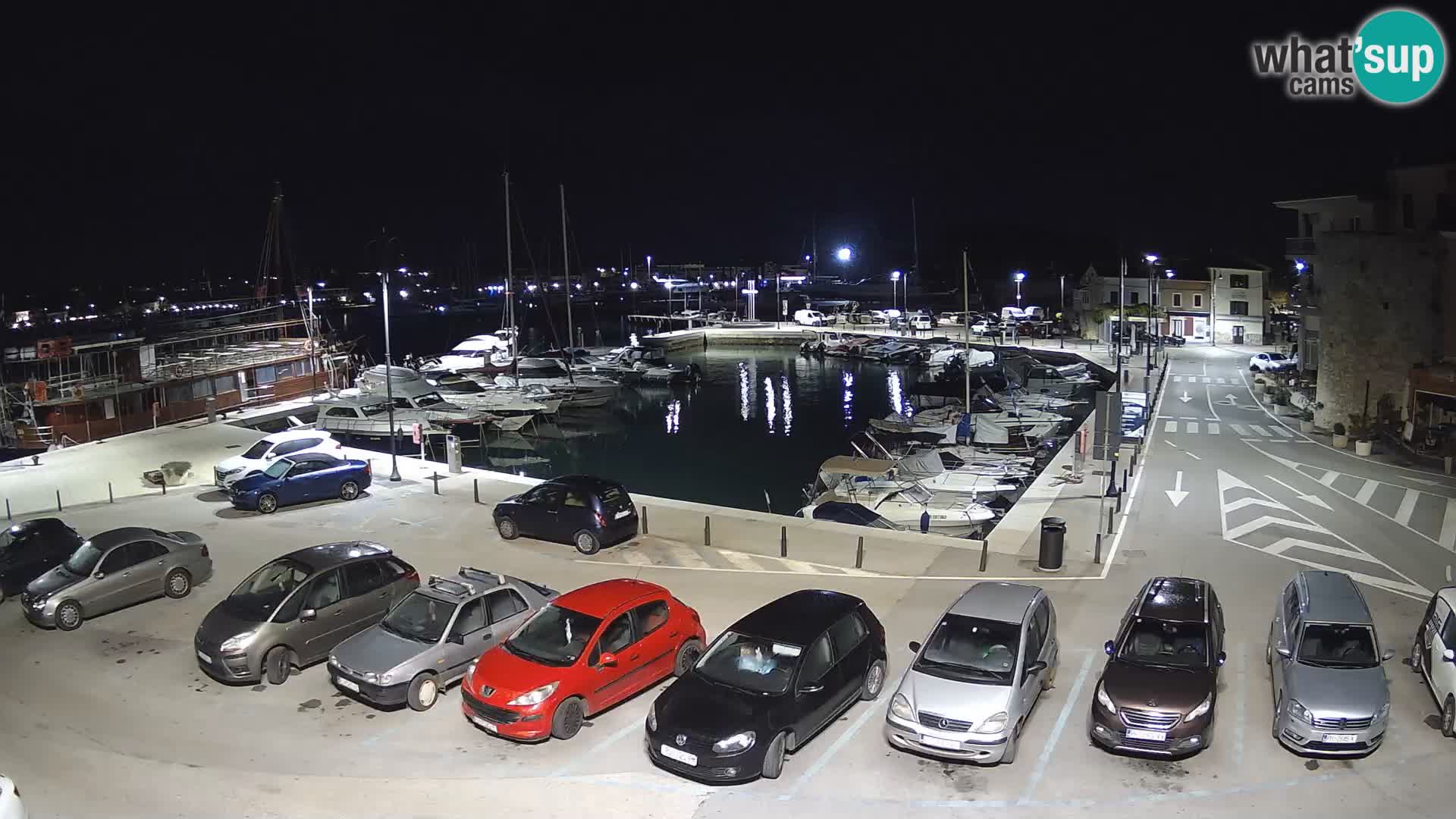 Novigrad | Porporela marina